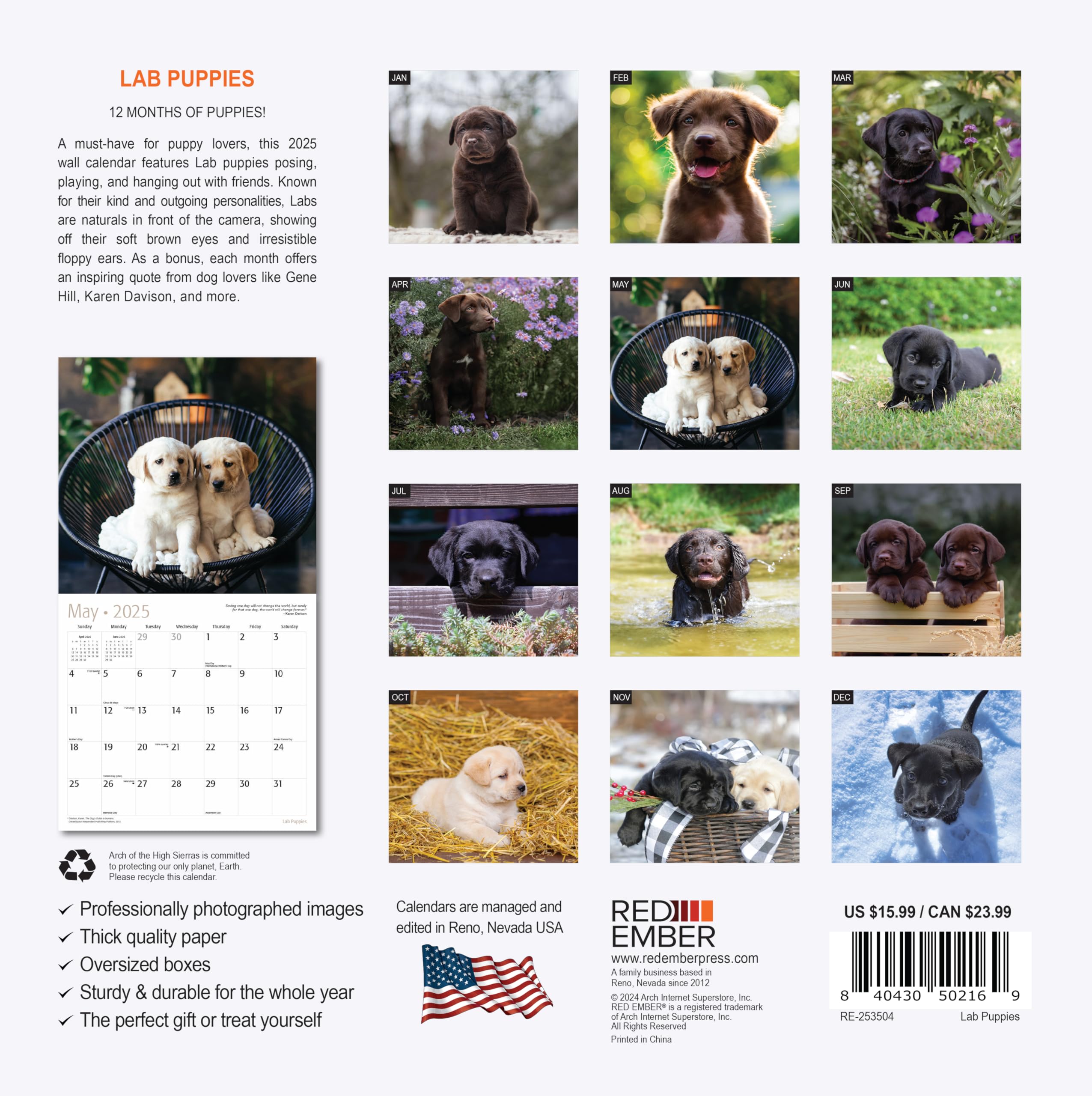 RED EMBER Lab Puppies 2025 Wall Calendar - 12 Month Large Format (12x24 Inches) with Thick Sturdy Paper - Perfect Gift for Dog Lovers - Ideal for Home, Office, or Classroom Decoration