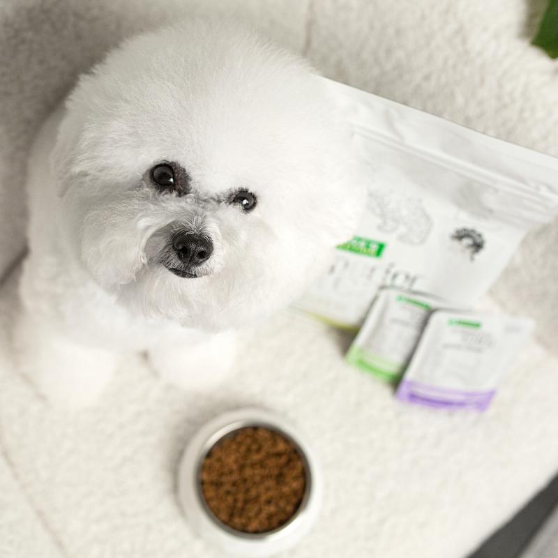 Premium Insect-Based Dog Food for Small Breeds - Light Coat Formula | High-Protein Nutrition for Adult Dogs | Ideal for Sensitive Skin & Digestive Health