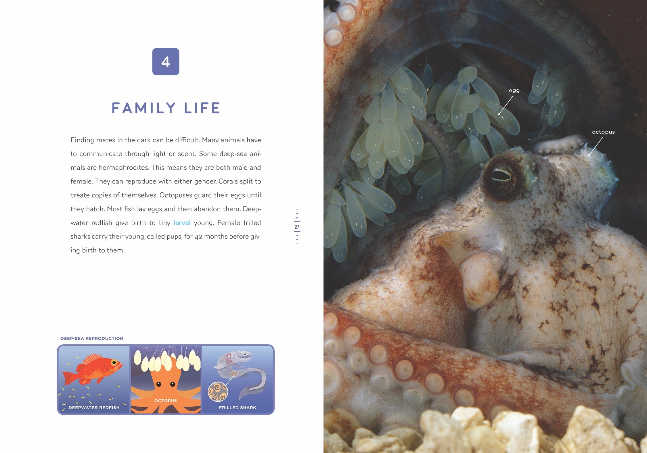 Deep Sea Mysteries - Explore Underwater Wonders & Marine Life | Perfect for Ocean Lovers, Scuba Divers & Home Decor