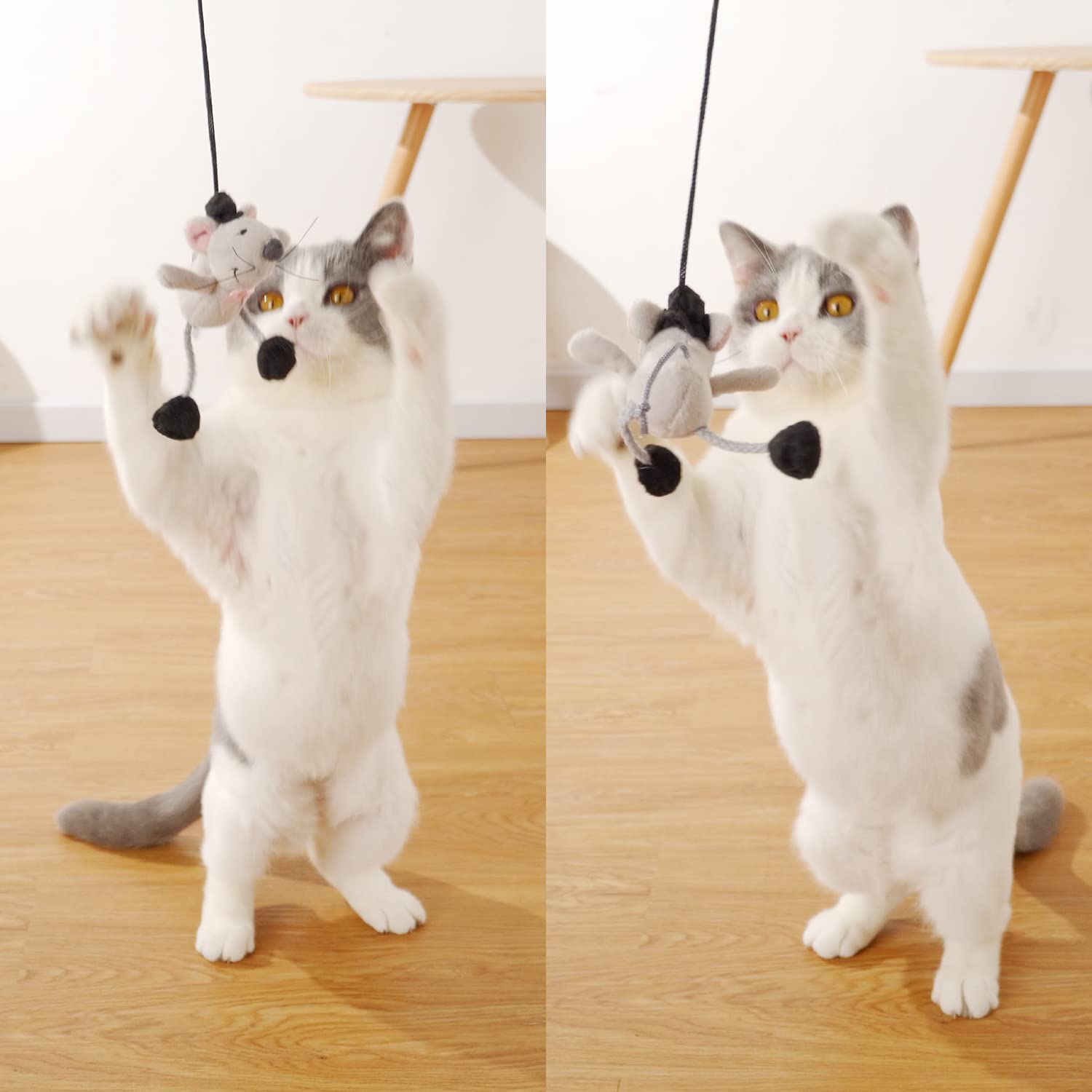 PAZ'S GIFT Interactive Cat Wand Toy with Cute Mouse - Teaser Wand for Indoor Play, Squeaky Fun Kitten Toy for Chase & Exercise - Reduce Boredom for All Cats - Perfect for Playtime, Training & Bonding with Your Feline Friend