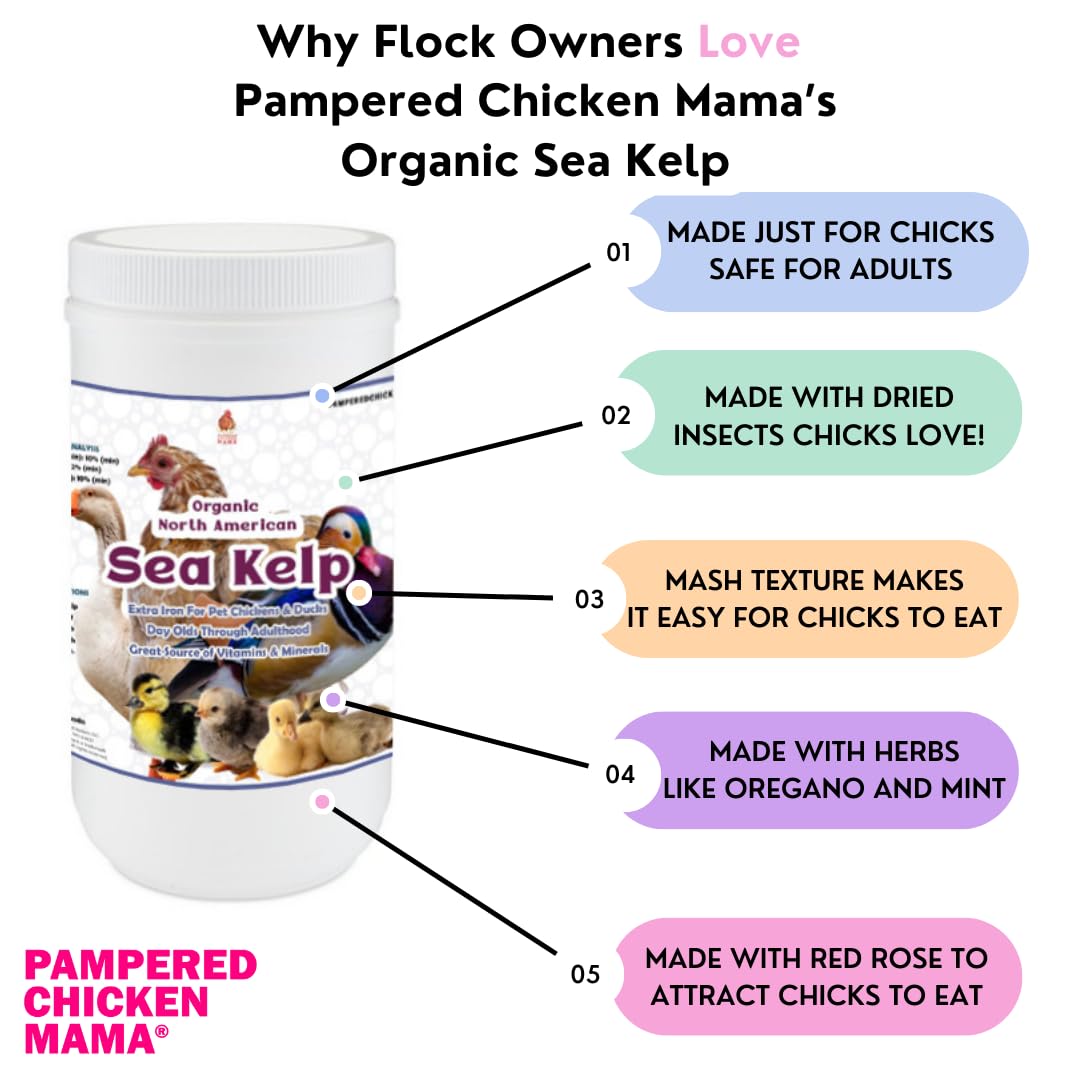 Organic Kelp for Chickens & Ducks - 1lb Natural Poultry Feed Supplement with Vitamins | Healthy Chicken Vitamins & Minerals | Perfect for Egg Laying Hens, Backyard Flocks & Duck Nutrition | Farm-Raised Poultry Care