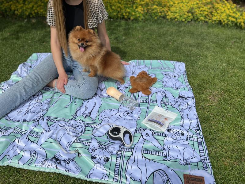 Premium 2-Sided Pet Blanket for Dogs & Cats - Soft, Warm & Cozy Fleece Throw - Mint Green - Perfect for Cuddling, Sofa, Bed & Travel Use