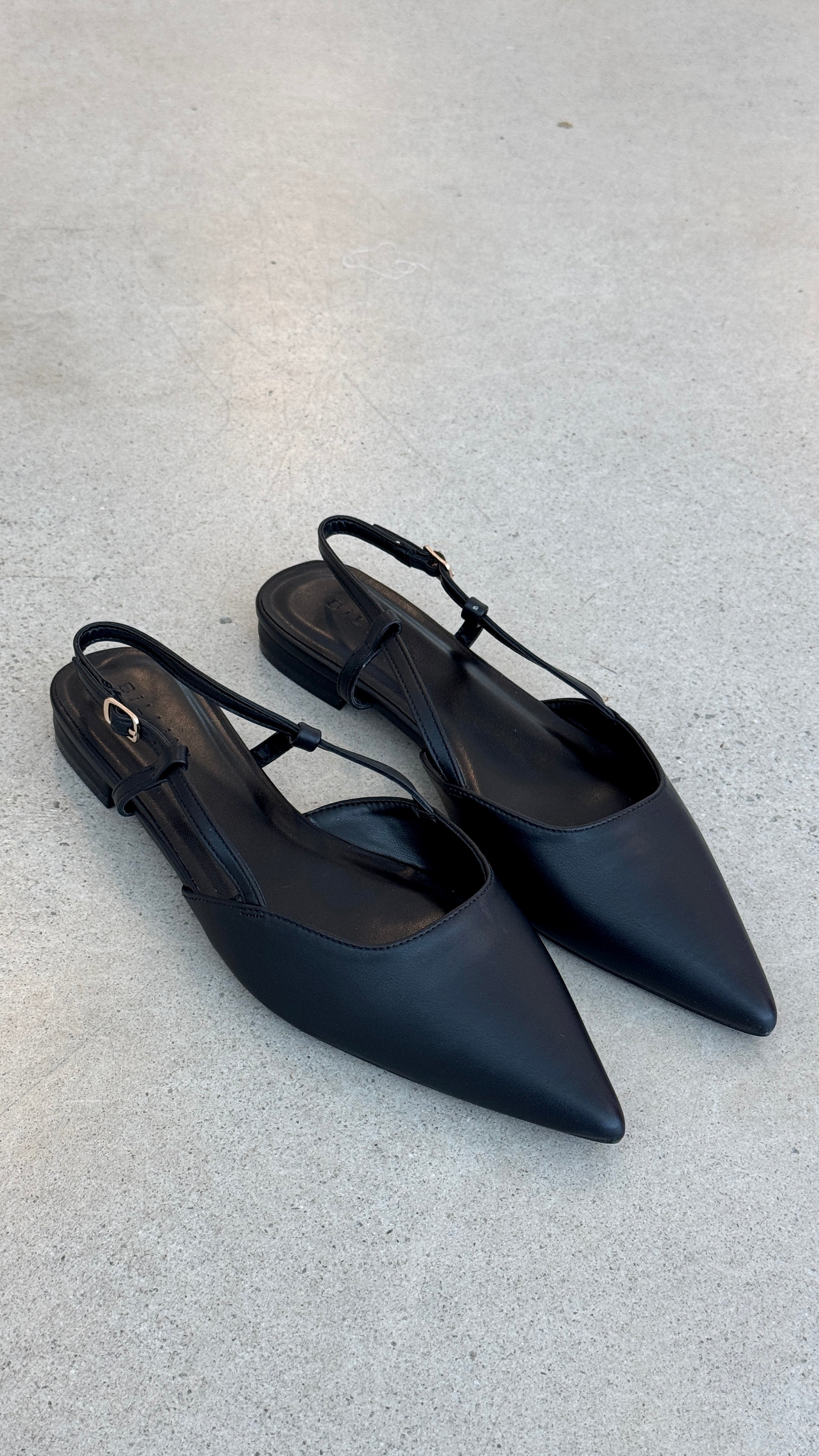 Iver Ballet Flats for Women - Comfortable Black Leather Pointed Toe Shoes for Work, Office & Casual Wear