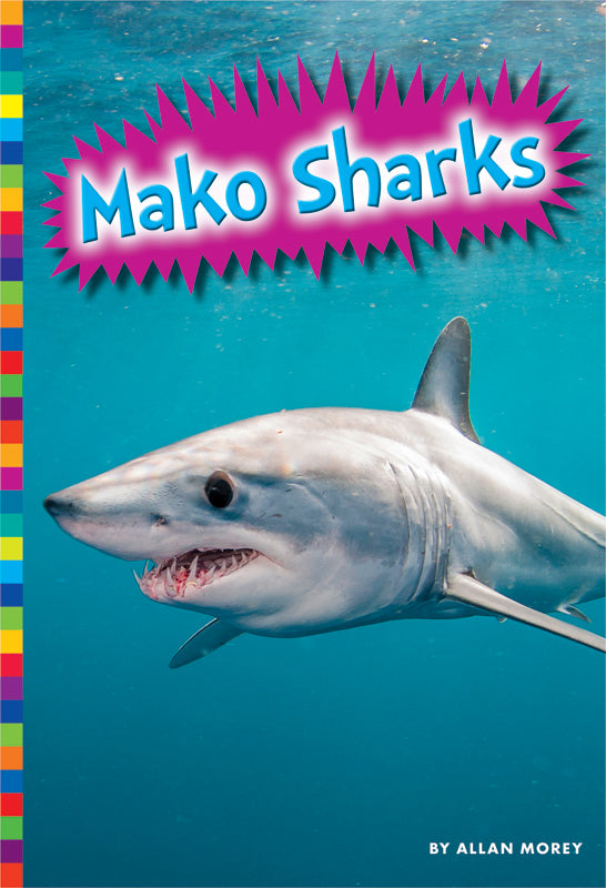 Mako Shark Teeth Necklace - Handmade Jewelry for Men & Women - Perfect for Beach, Ocean & Shark Lovers - Great Gift for Divers & Marine Enthusiasts