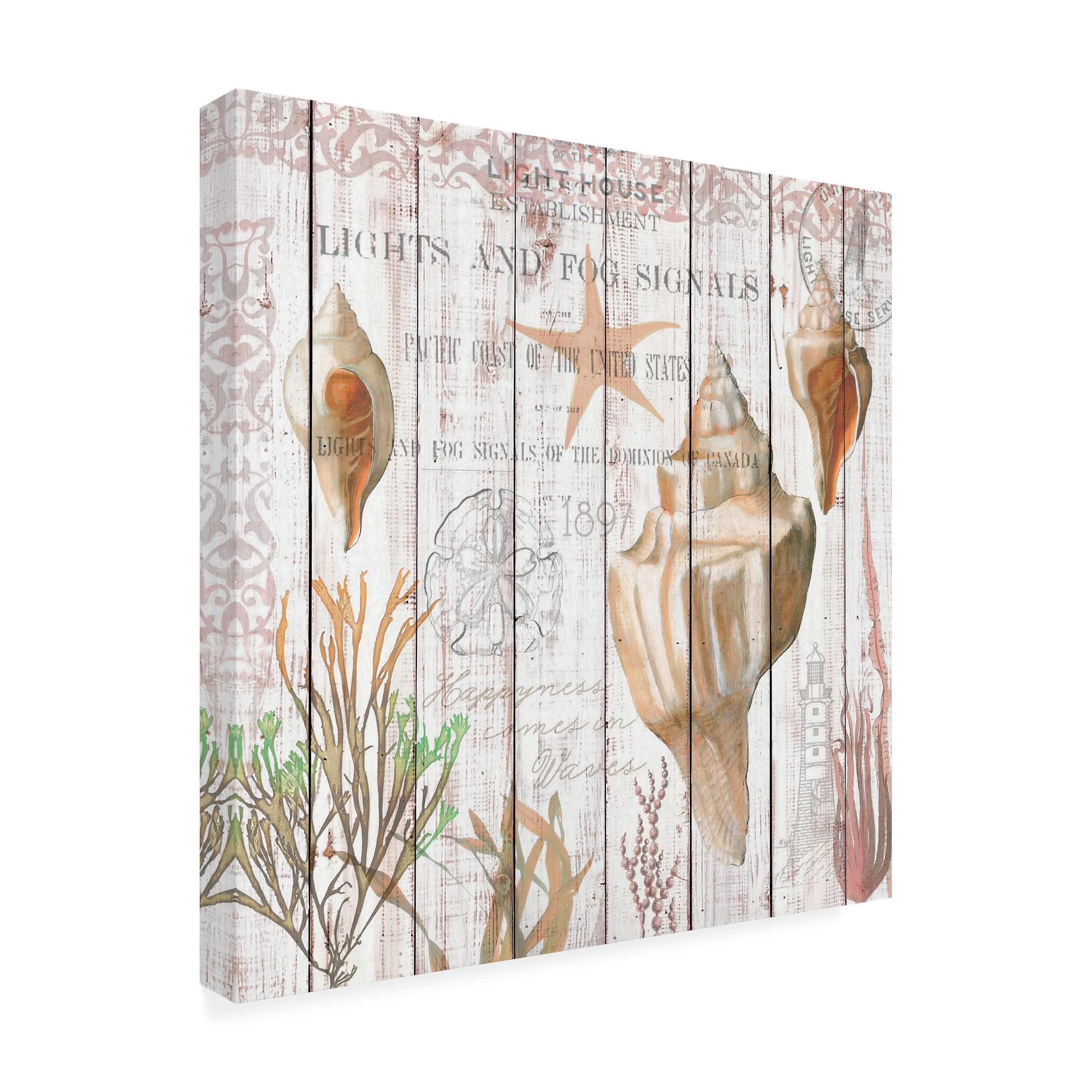 Trademark Fine Art 'Seashells on Driftwood Panel' Canvas Wall Art Print by Cora Niele - Coastal Beach Decor for Living Room, Bedroom & Office