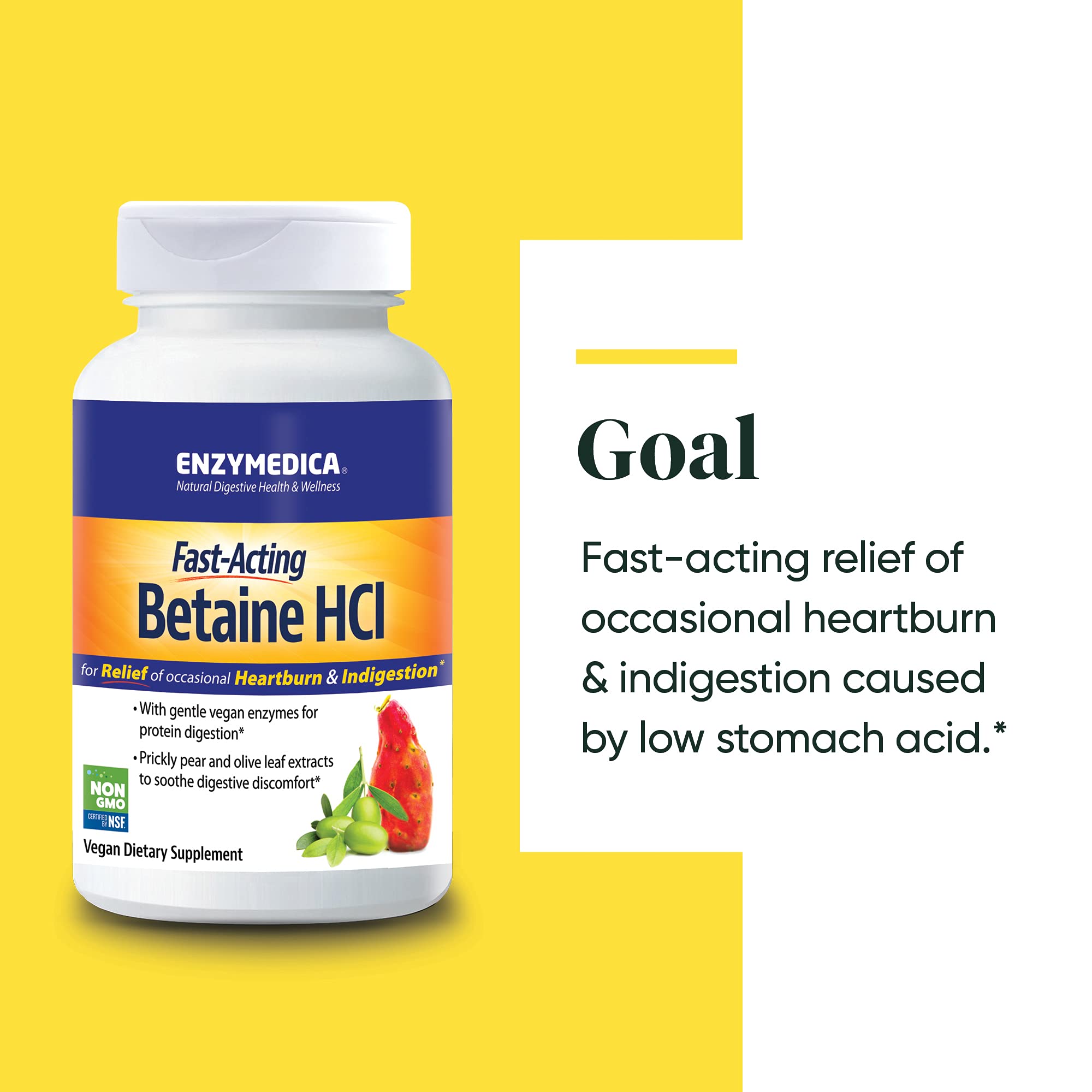Enzymedica Betaine HCl Supplement - 120 Capsules for Digestive Support & Stomach Acid Balance | Ideal for Gut Health & Nutrient Absorption