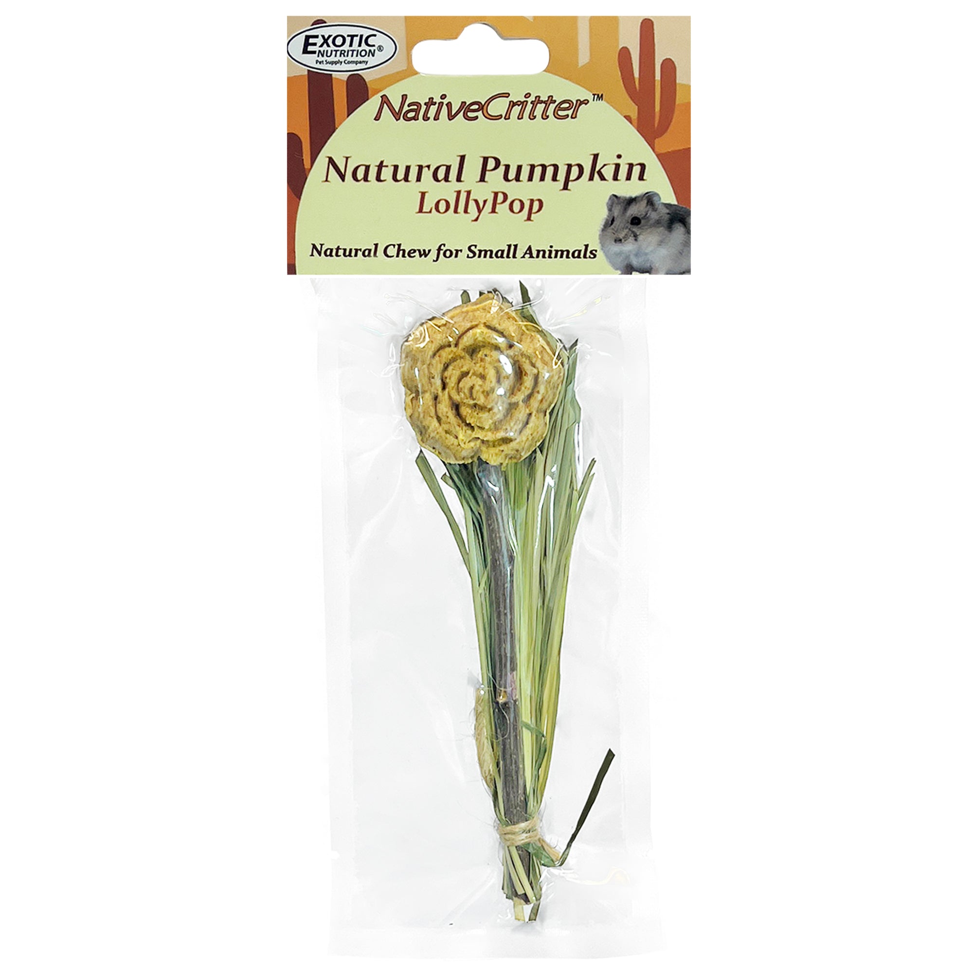 Organic Natural Fruit Lollipops - Healthy Candy for Kids & Adults - Vegan, Gluten-Free, No Artificial Colors - Perfect for Birthday Parties, Halloween Treats & Office Snacks