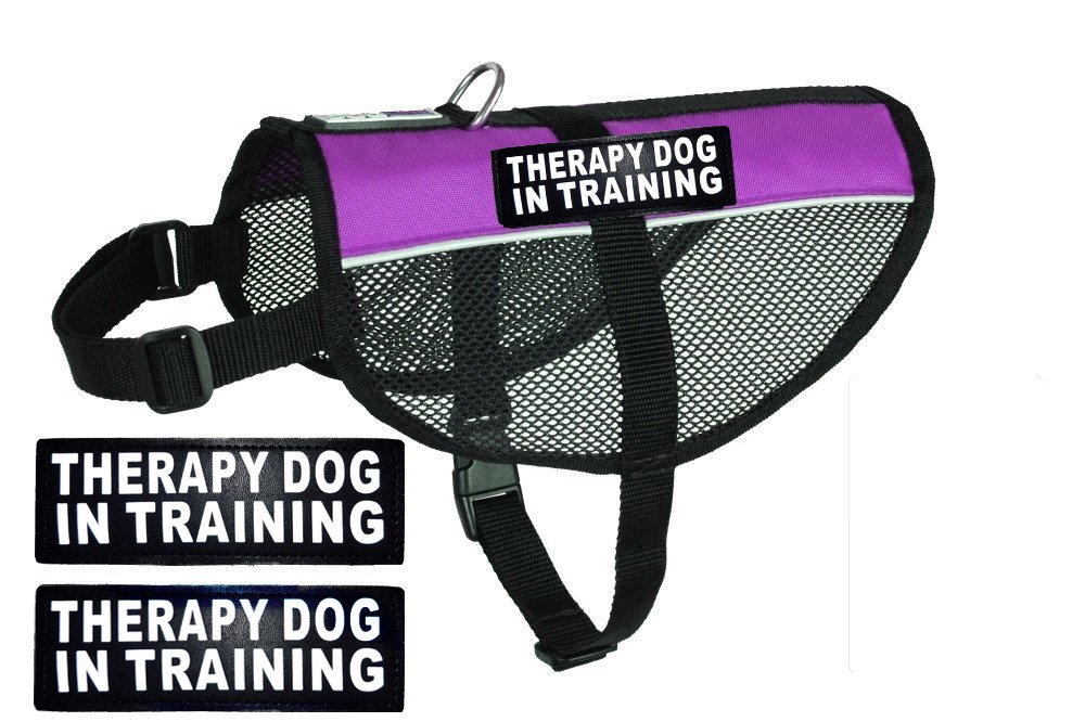 **Therapy Dog Mesh Vest Harness - Breathable Nylon Cooling Comfort for Small Dogs (8-10