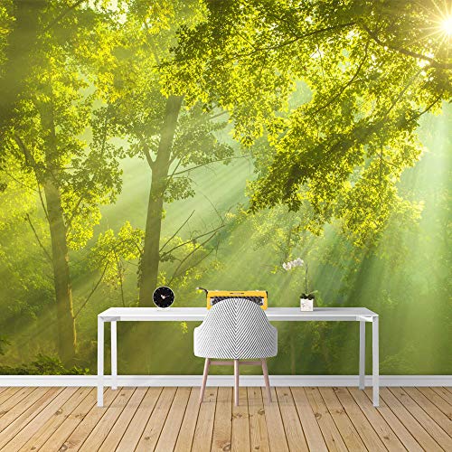 Forest1-1911-m11