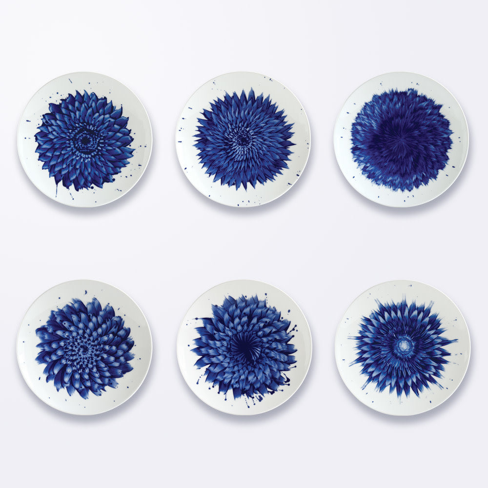 Bernardaud In Bloom Assorted Coupe Salad Plates - Set of 6 Fine China Dinnerware for Elegant Dining & Entertaining