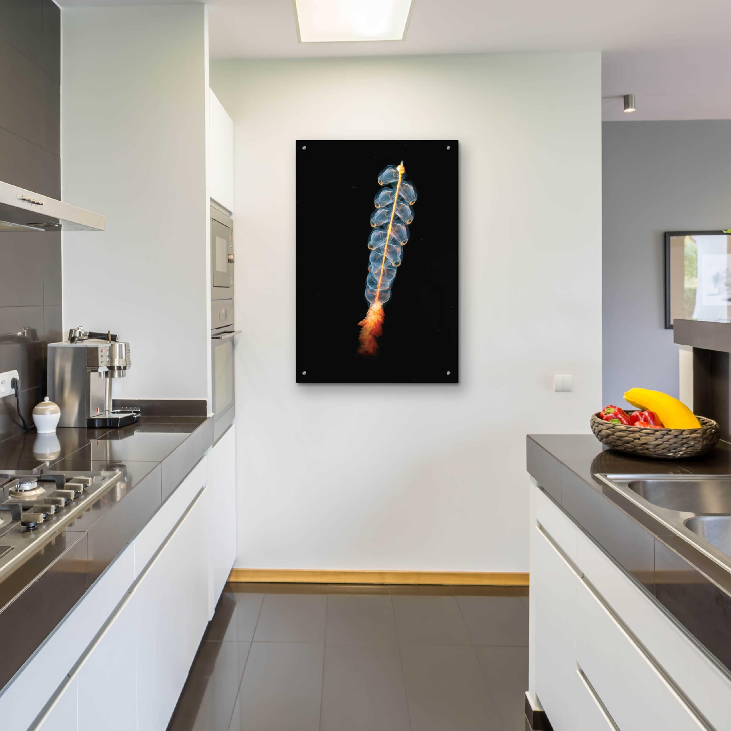 Epic Art 'Deep Sea Rocket' Acrylic Glass Wall Art - 24x36 Inches Modern Ocean Themed Painting for Living Room, Bedroom & Office Decor