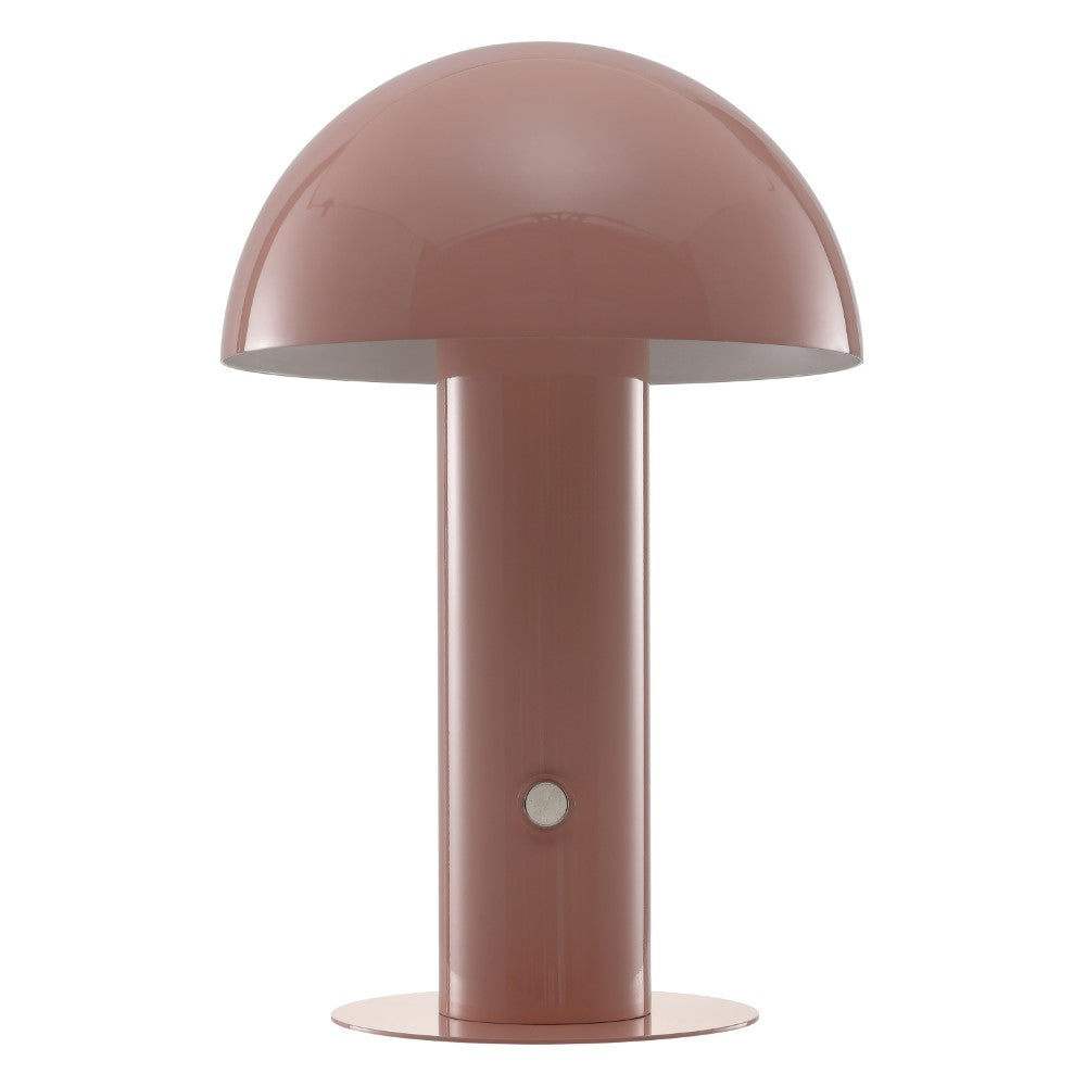 Boletus 10.75