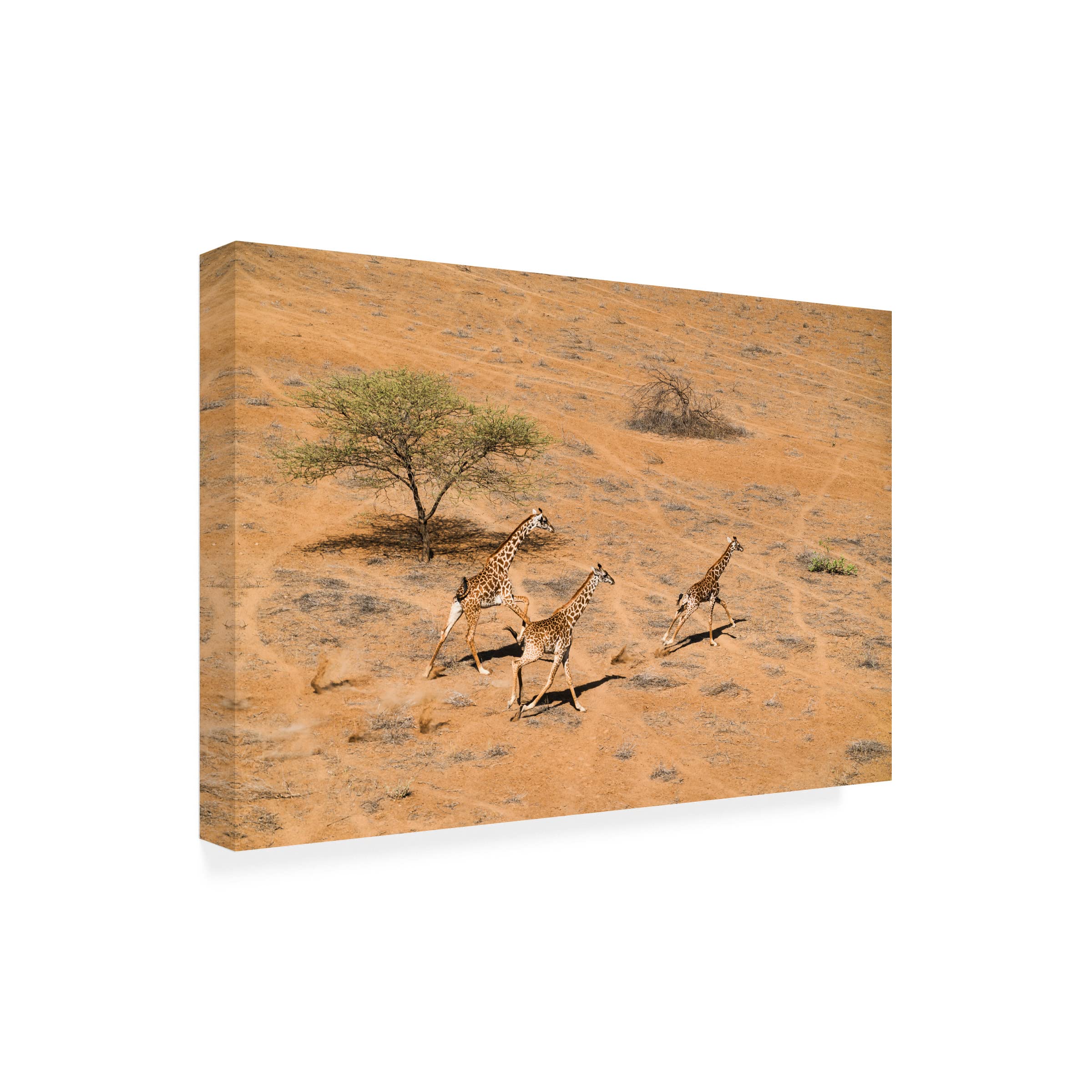 John Fan 'Family Paradise' Canvas Wall Art Print - Premium Trademark Fine Art for Home Decor, Living Room & Bedroom