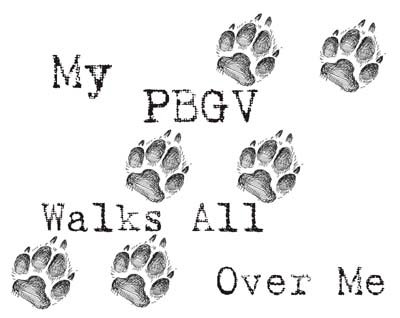 PBGV Dog Lover's Graphic T-Shirt - Funny My PBGV Walks All Over Me Design - Comfortable Cotton Tee for Pet Owners | Perfect for Dog Walks, Park Outings & Casual Wear
