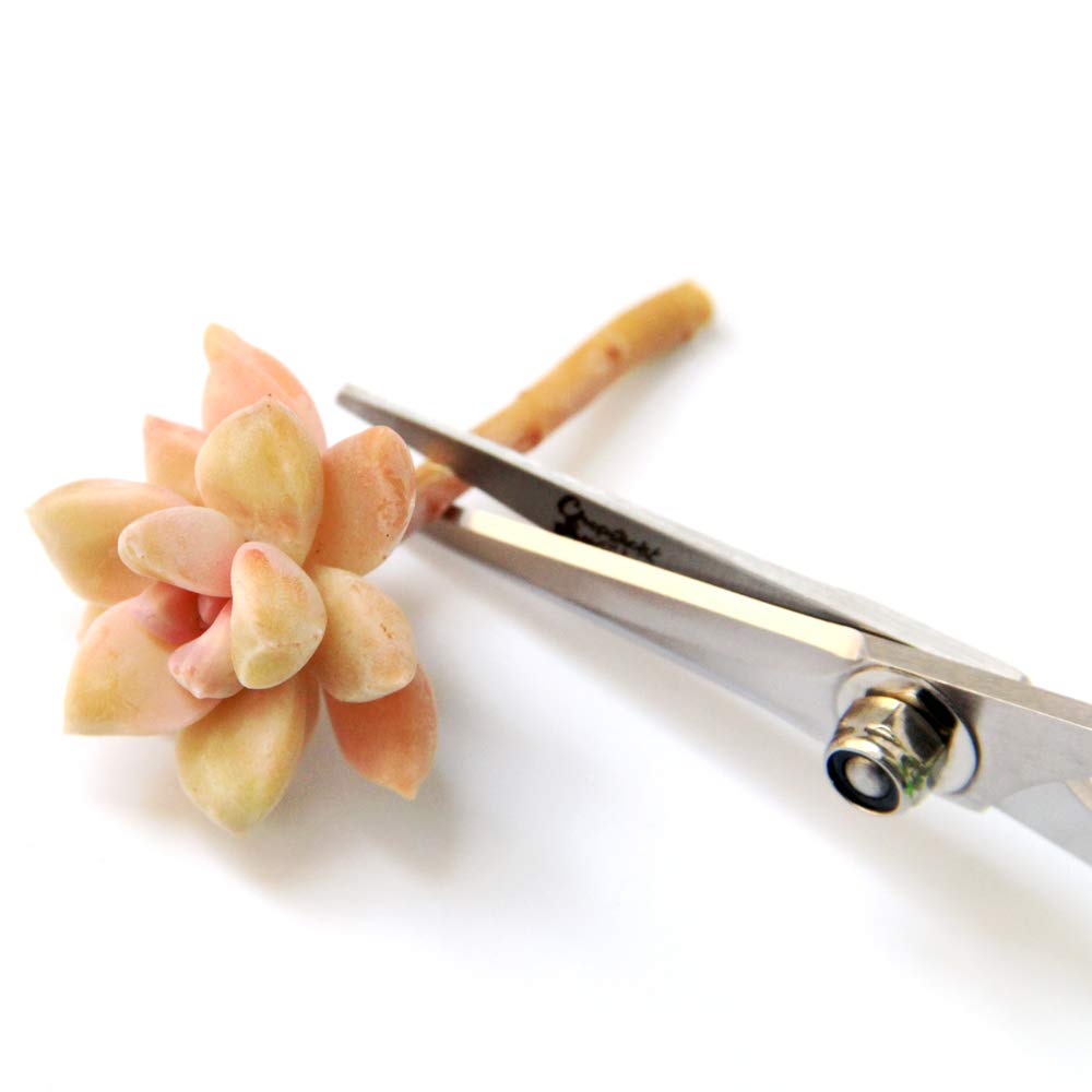 Premium Gardening Scissors for Succulents - Sharp Pruning Shears for Trimming, Cutting & Shaping Plants - Perfect for Indoor Succulent Care, Bonsai Maintenance & Floral Arrangements