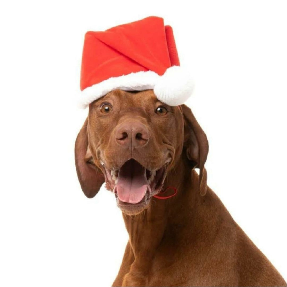 Festive Santa Hat Dog Toy for Christmas - Cute Holiday Pet Costume for Small & Large Dogs - Perfect for Christmas Photos & Parties