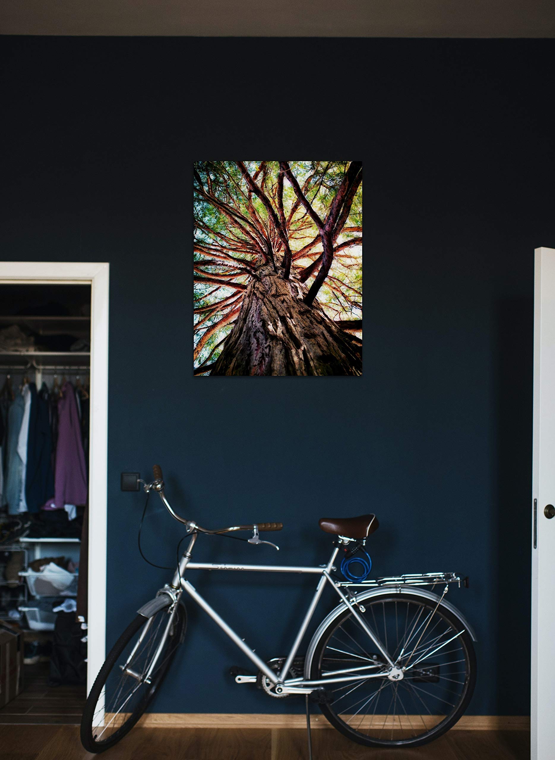 Tree I Wall Art - Urban Nature Photography Print for Home & Office Decor | Modern Landscape Artwork for Living Room, Bedroom, or Workspace