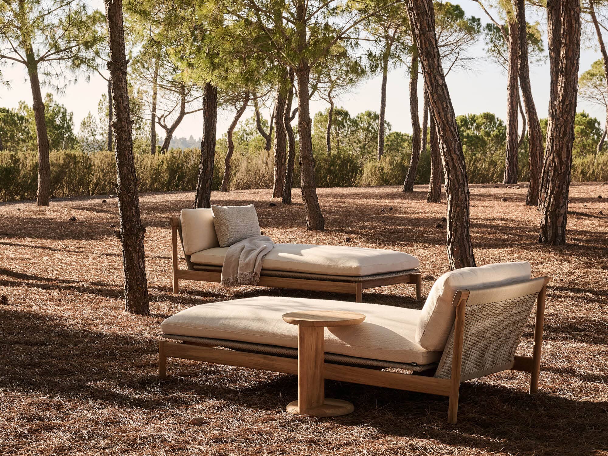 Amanu Daybed - Modern Sleeper Sofa for Small Spaces | Perfect for Guest Room, Living Room & Office | Comfortable & Stylish Furniture