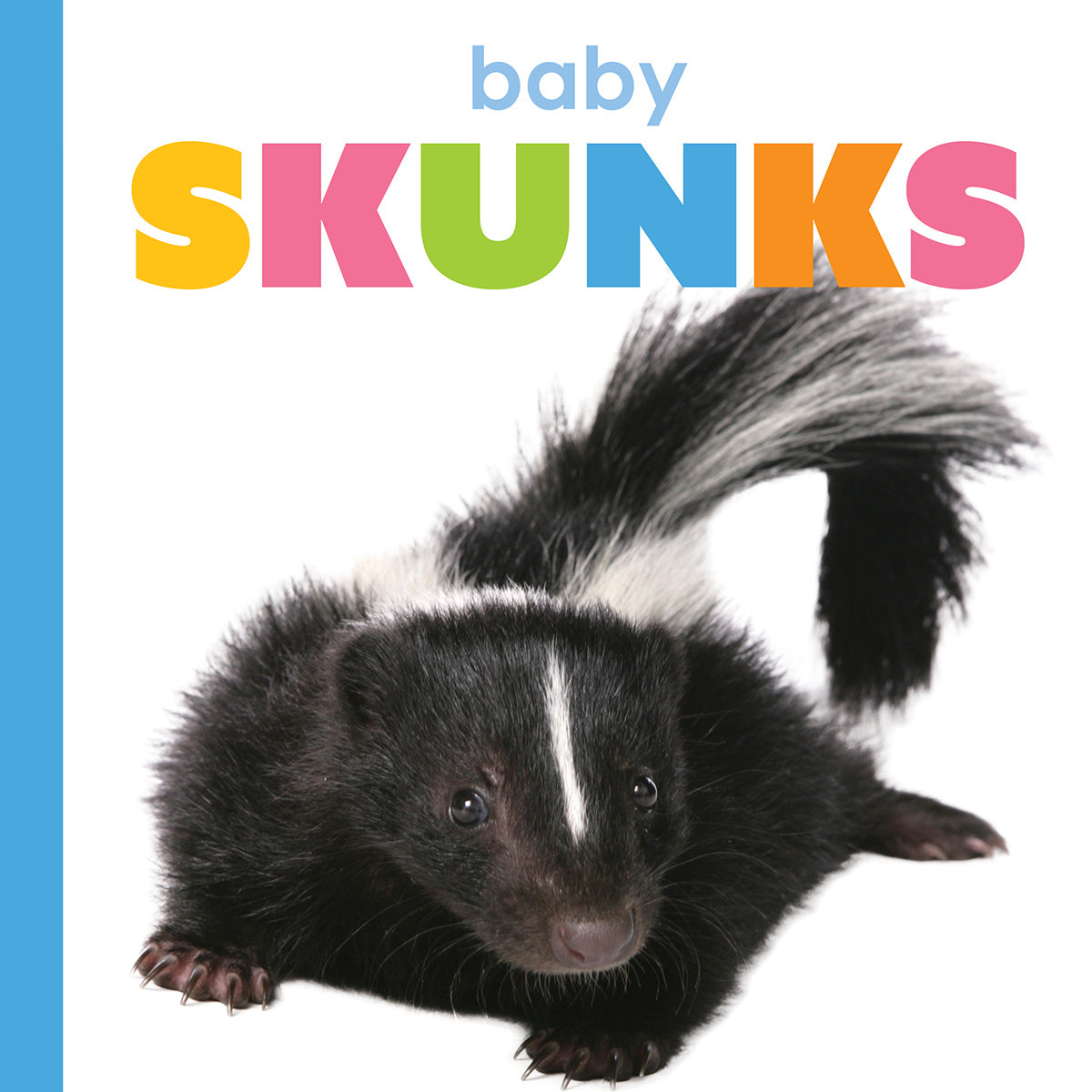 Baby Skunks for Sale - Adorable Pet Skunk Kits for Adoption | Perfect for Exotic Pet Lovers & Wildlife Enthusiasts