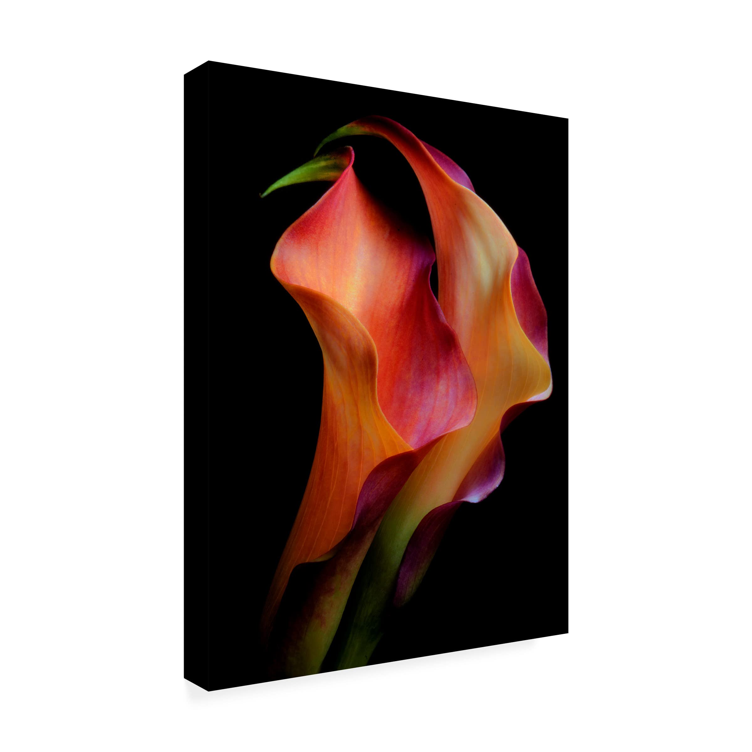 Trademark Fine Art 'Tenderness' Canvas Wall Art Painting by Jon Kinney - Perfect for Living Room, Bedroom & Office Decor
