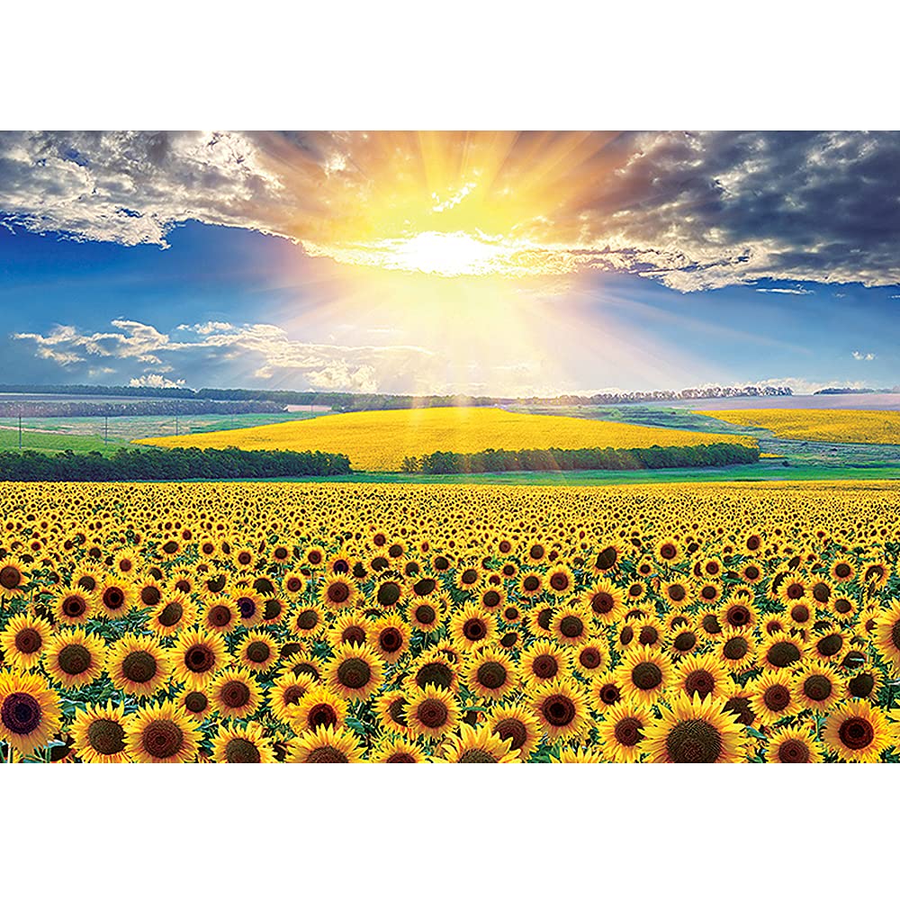 1000 Piece Sunflower Field Jigsaw Puzzle for Adults - Premium Paper Puzzle with Vibrant Art - Perfect for Family Game Night & Stress Relief Activities