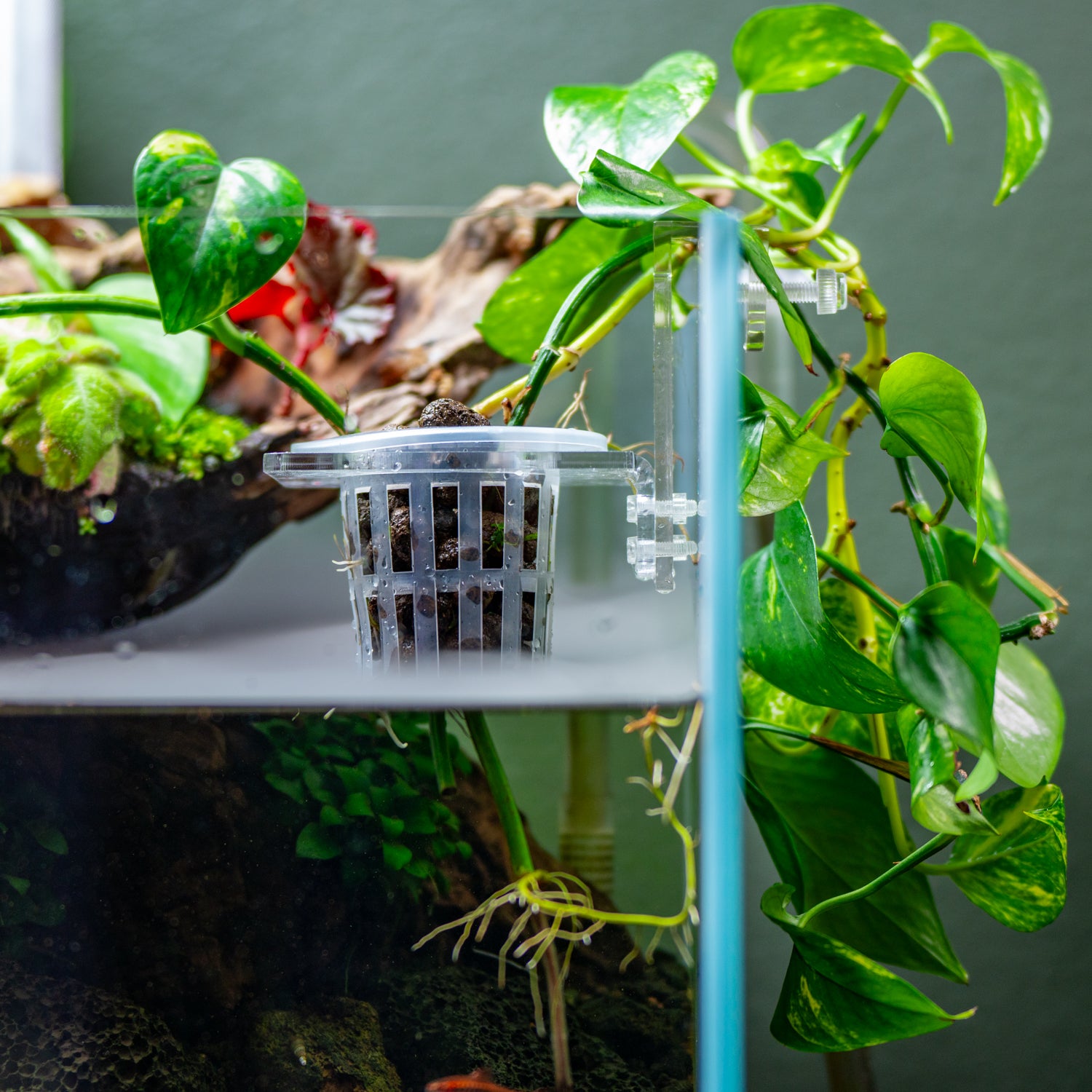 Hydroponic Planter Pot - Small Triple Holder for Indoor Herb Garden, Kitchen Countertop, or Office Desk | Self-Watering System for Fresh Basil, Mint & Parsley | Compact Space-Saving Design