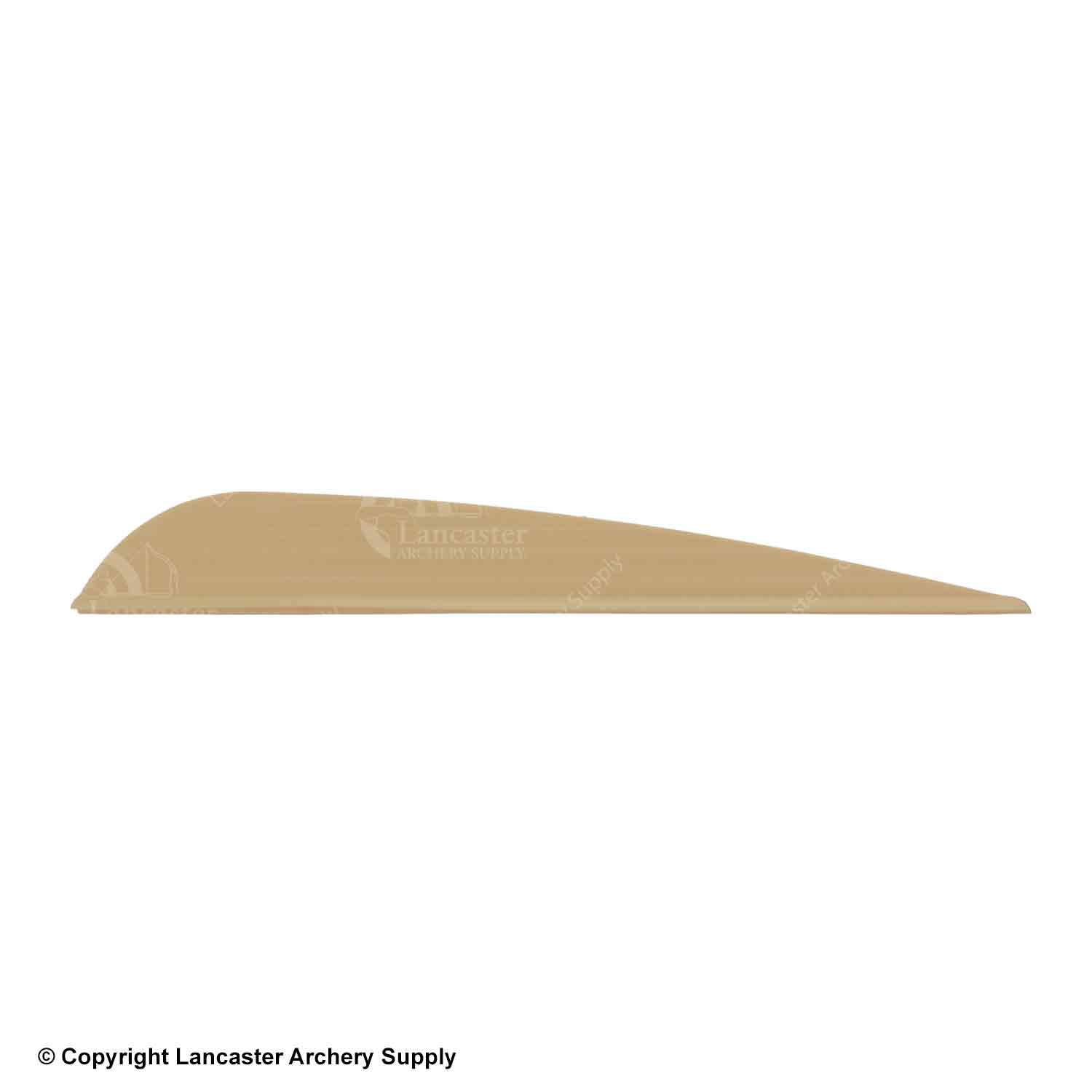 AAE Elite Plastifletch 40 Vanes (100 Pack) - High Performance Archery Vanes for Hunting & Target Shooting