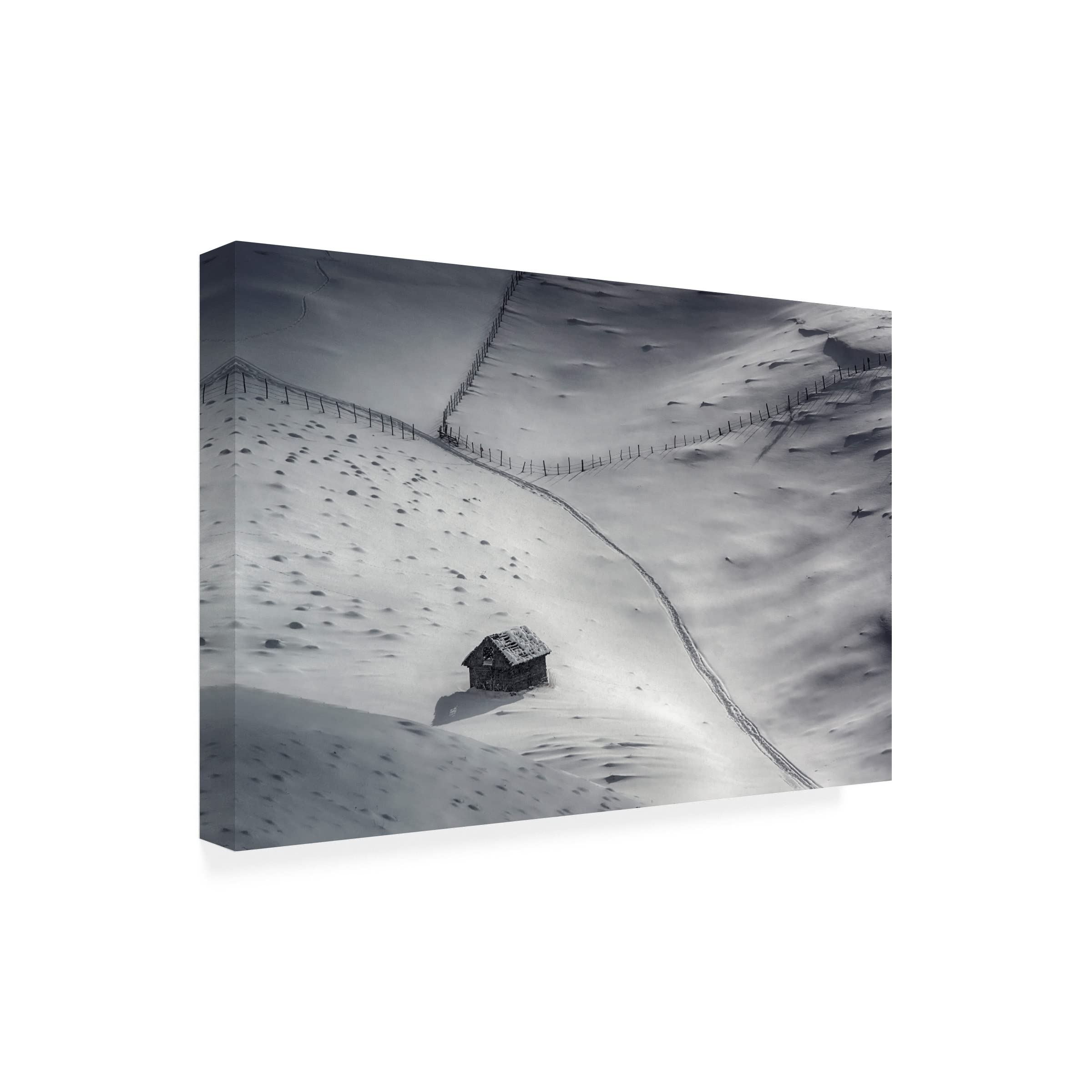 Trademark Fine Art 'Winter Light 2' Canvas Wall Art by Mihail Dulu - Landscape Painting for Living Room, Bedroom & Office Decor
