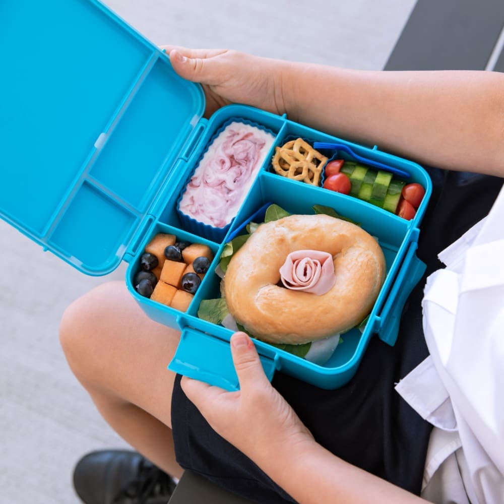 Coastal Bento Plus Leakproof Lunch Box for Kids & Adults - Perfect for School, Work, Picnics & Travel