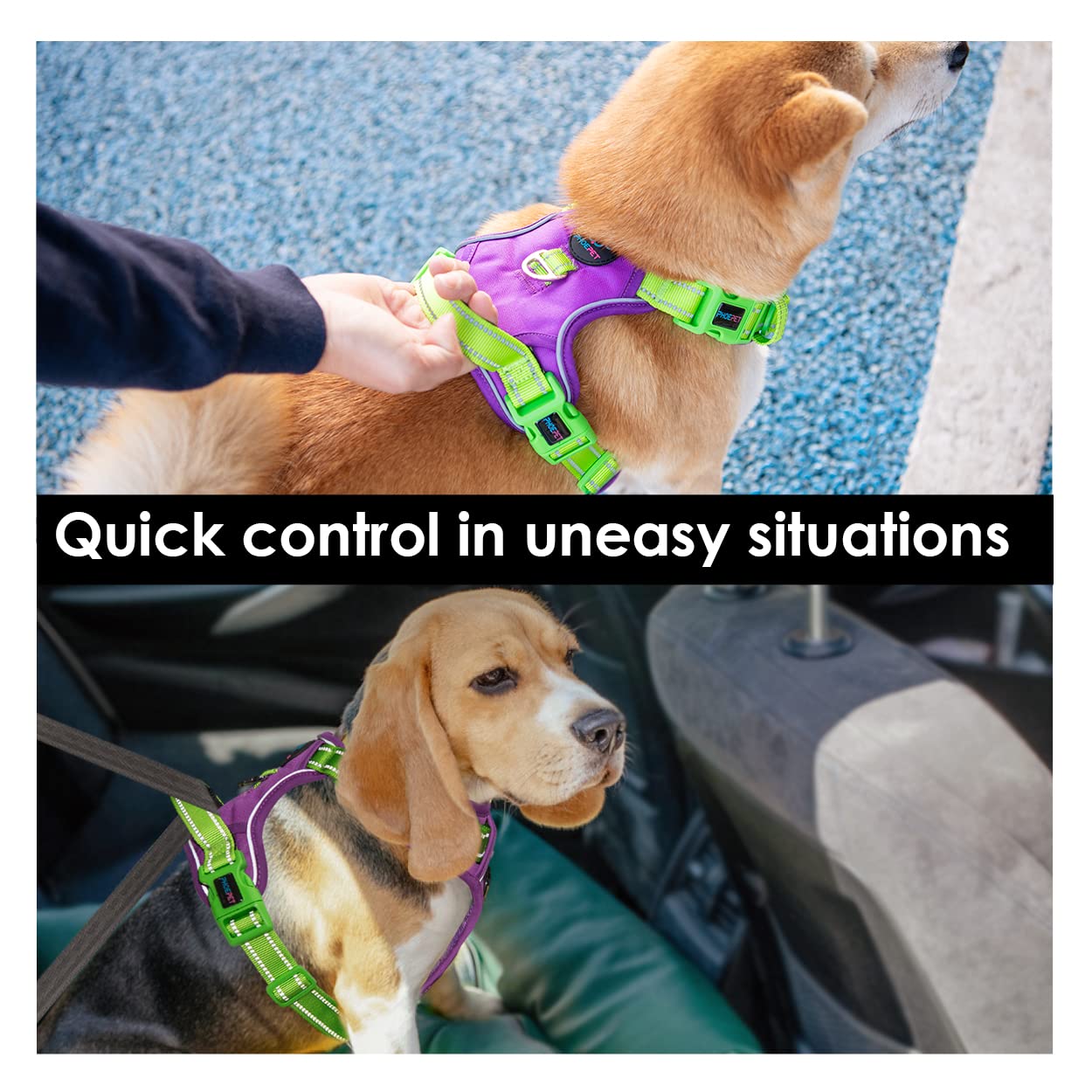 PHOEPET No Pull Dog Harness - Reflective Adjustable Vest with Soft Training Handle & Metal Clips for Small, Medium, Large Dogs - Purple Base & Green Straps (XS) | Perfect for Walking, Training & Nighttime Safety