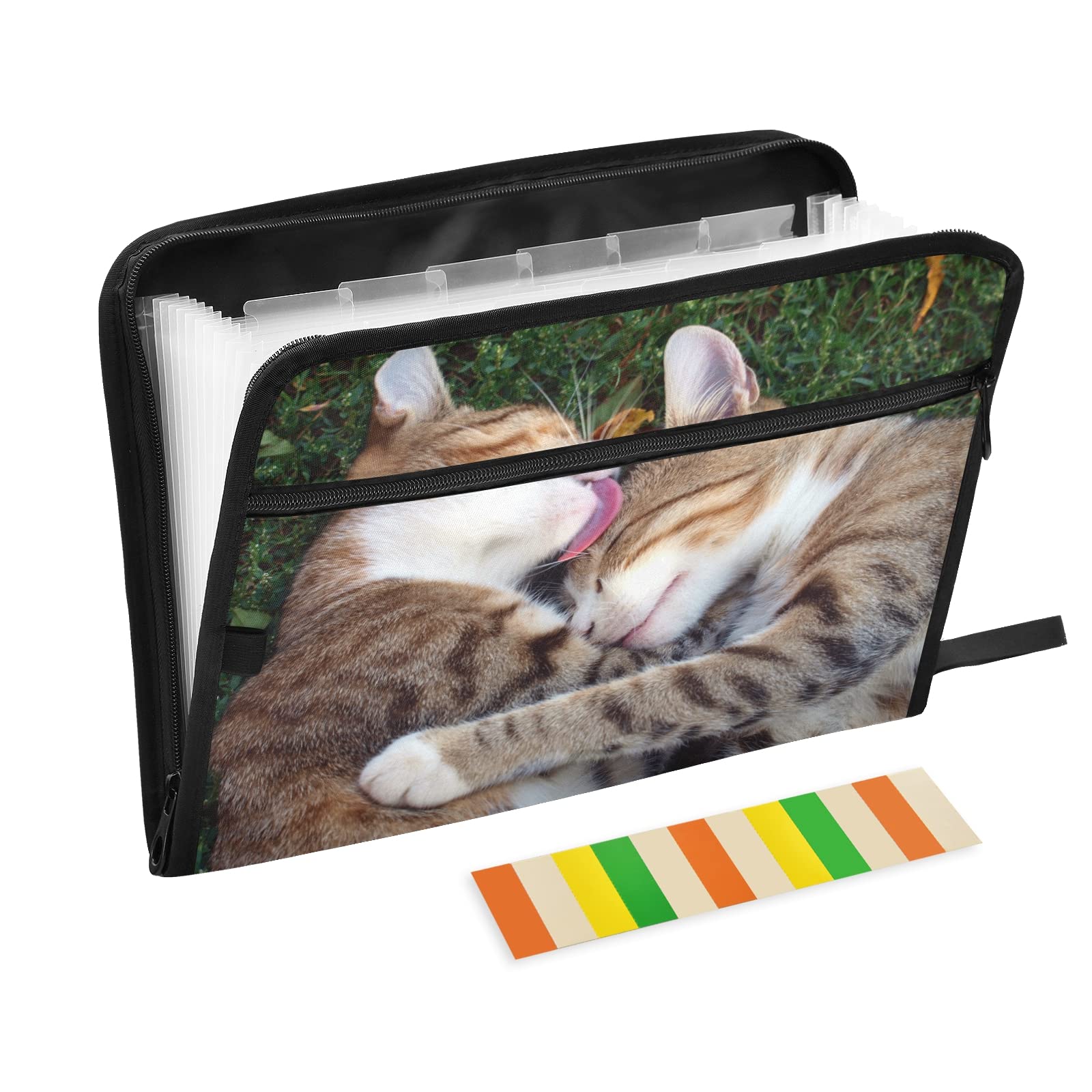 UMIRIKO 13-Pocket Expanding File Folder with Sticky Labels - Accordion Document Organizer for A4/Letter Size - Zippered Closure for Secure Storage | Perfect for Office, School, Home Organization & Tax Filing