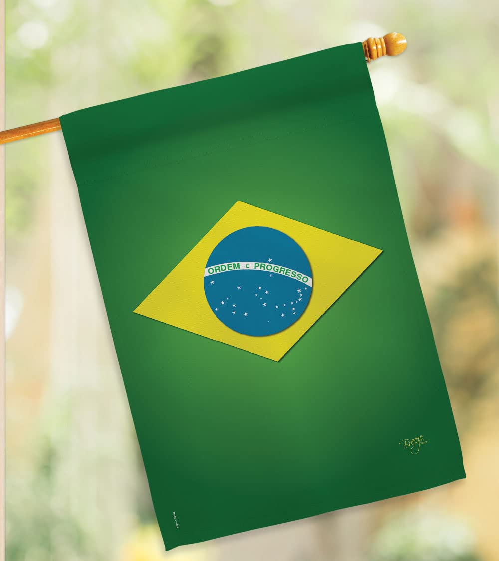 Brazil National Flag Set 28