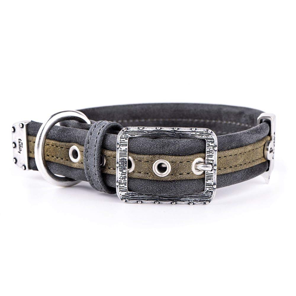 MyFamily Adjustable Dog Collar - Italian Genuine Leatherette, Antique Silver Finish - Handmade Comfortable Durable Pet Collar - Perfect for Daily Walks & Outdoor Adventures