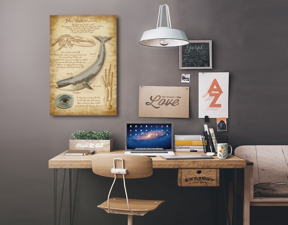 Lantern Press Blue Whale & Da Vinci Art Print - 16x24 Wrapped Canvas Wall Decor for Living Room, Bedroom & Office - Modern Home Artwork for Nature & Science Lovers