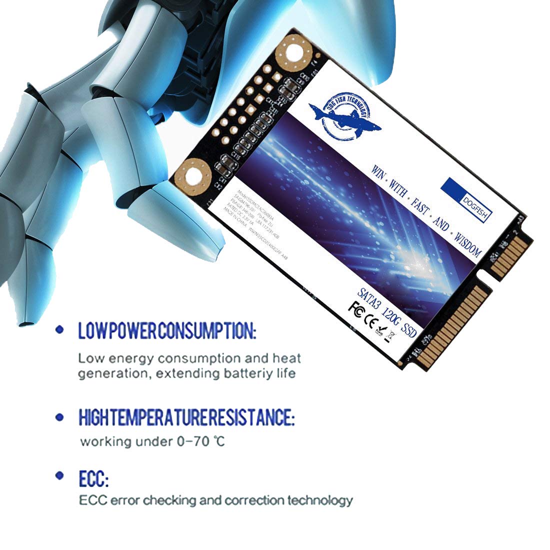 Dogfish 2TB mSATA SSD - High-Speed Internal Mini SATA Solid State Drive for Laptop & Desktop Computers | Fast Boot & Gaming Storage | Ideal for Upgrading Old PCs, Gaming Rigs & Workstations