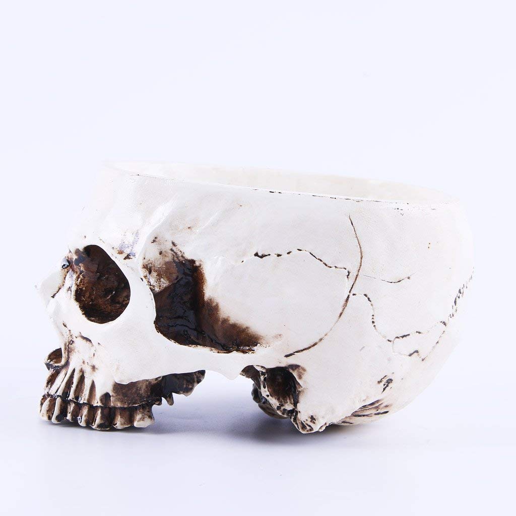 White Human Skull Shaped Flower Pot - Halloween Skeleton Planter Bowl for Tabletop Decor, Succulents & Home Garden