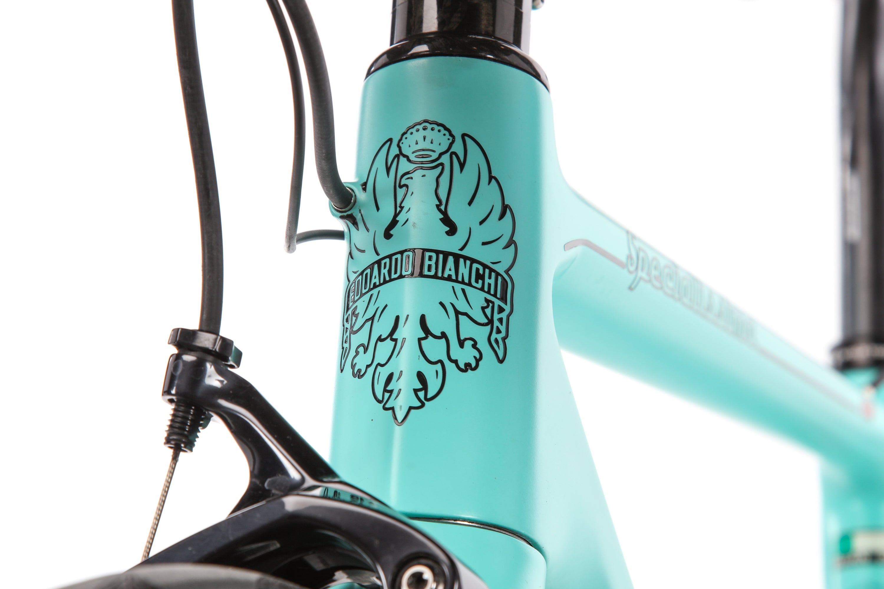 Bianchi Specialissima 2019 Road Bike - 50cm Carbon Frame, Lightweight & High-Performance for Racing & Endurance Training