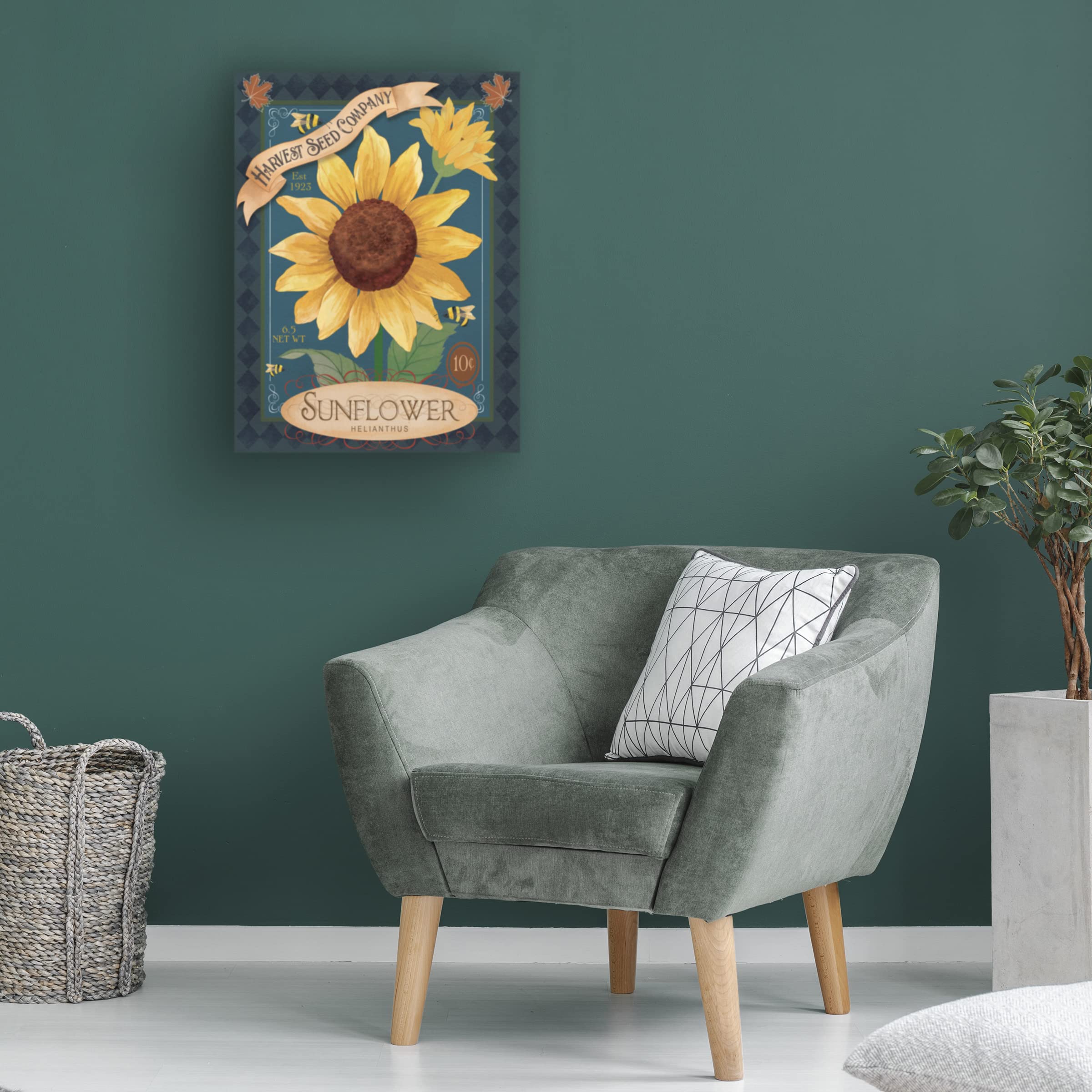 Fiona Stokes Gilbert 'Sunflower Seeds' Canvas Wall Art Print - 24x32 Inches - Modern Home Decor for Living Room, Bedroom & Office