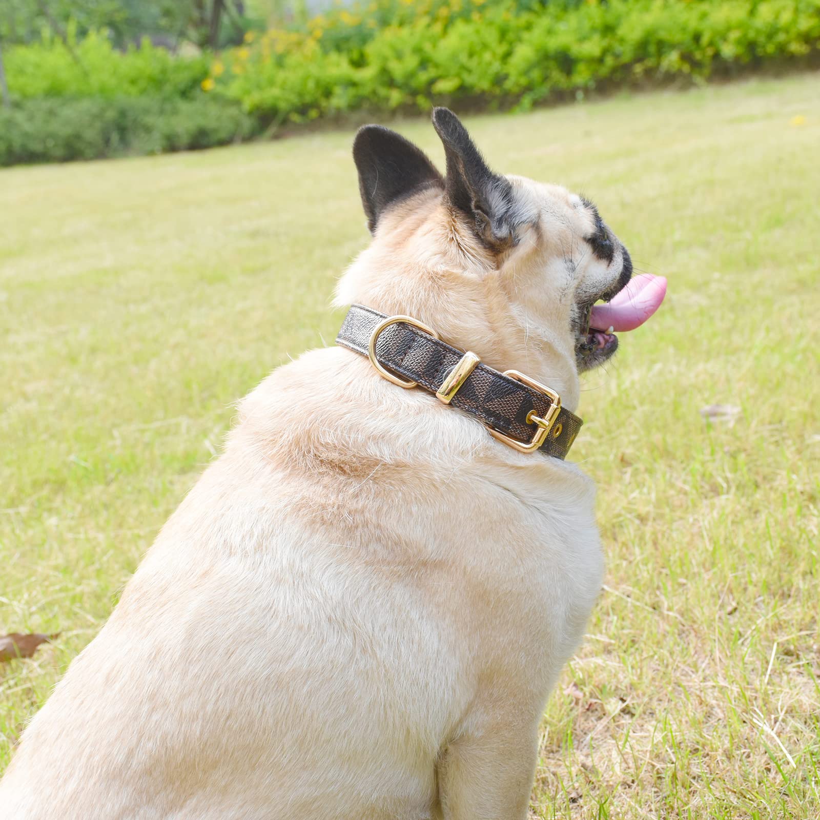 Premium Leather Dog Collar and Leash Set with Check Pattern - Adjustable Metal Buckle for Small, Medium & Large Dogs (Brown, Size S 11.4-13.4IN) - Durable Pet Accessories for Walking, Training & Outdoor Adventures