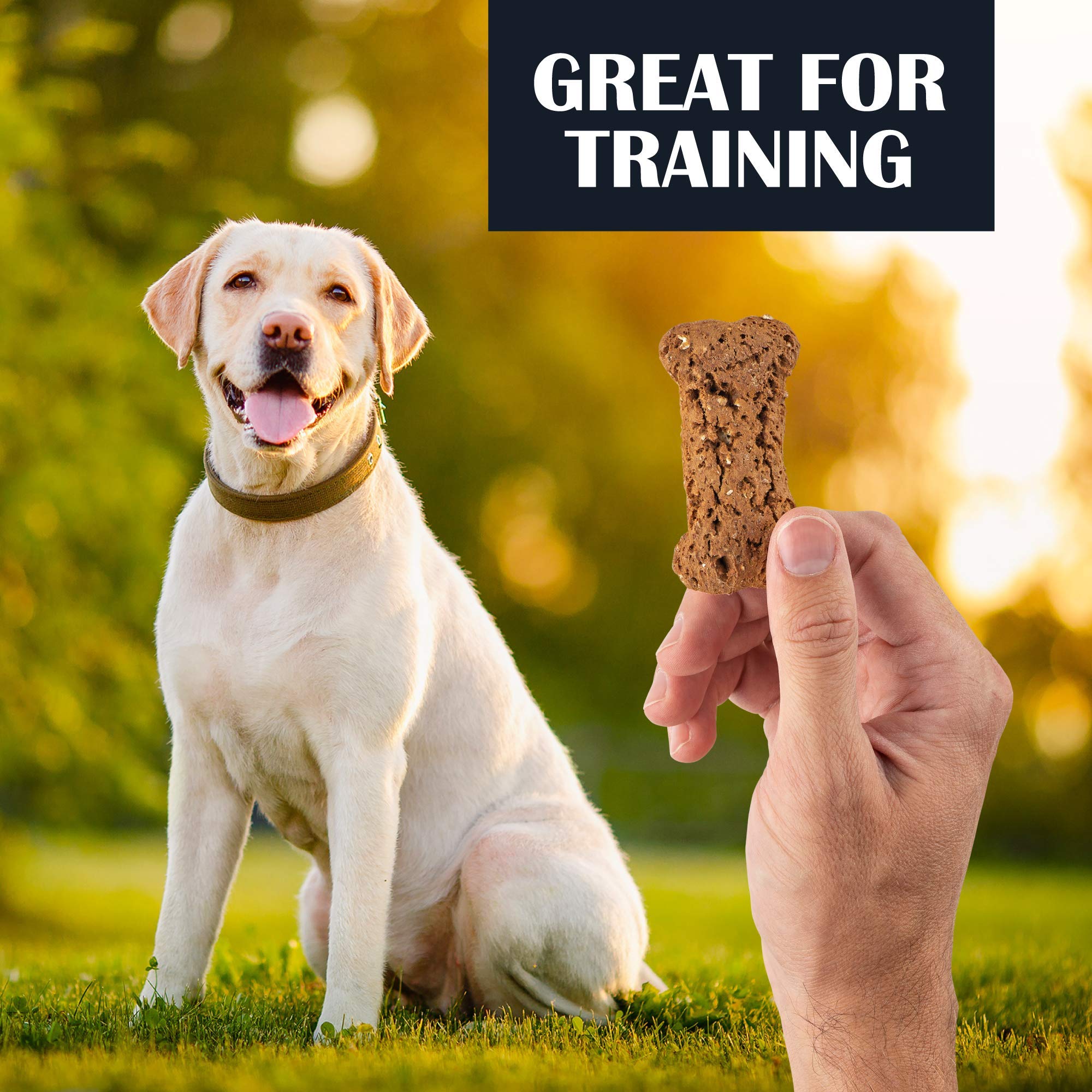 Organic Peanut Butter Banana & Blueberry Banana Dog Biscuits - All-Natural Crunchy Dog Treats for Training & Rewards | Made in USA | Variety Pack of 2 | Perfect for Puppy Training, Dog Walks & Positive Reinforcement