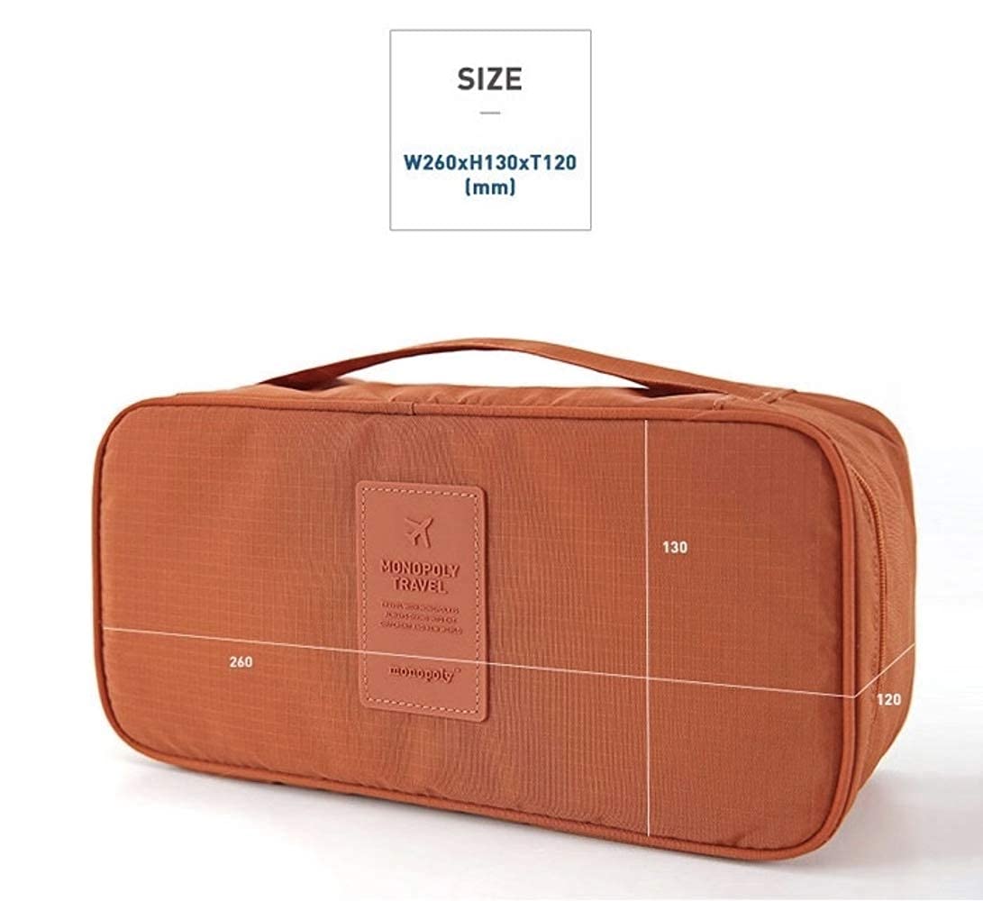 Multi-Function Underwear & Bra Organizer - Lightweight Double Layer Travel Cosmetic Bag with Compartments for Women | Perfect for Travel, Gym & Daily Storage (Blue)