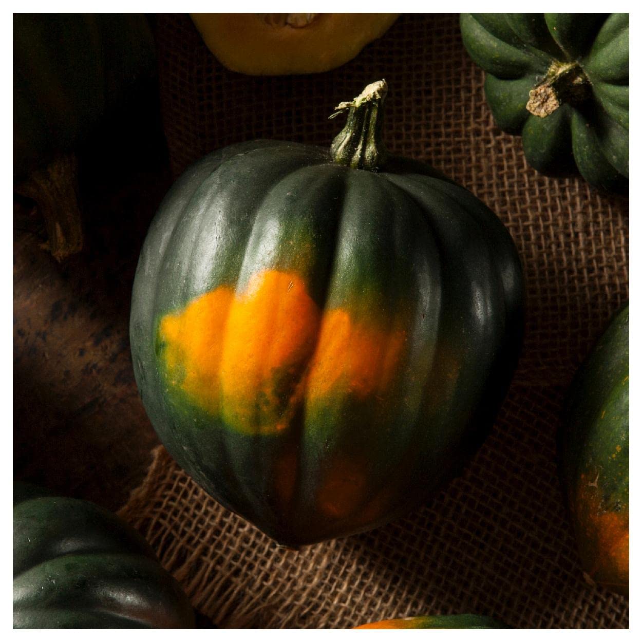 Organic Table King Acorn Winter Squash Seeds - 20 Count Gold Vault Packet by Everwilde Farms - Perfect for Fall Gardens, Thanksgiving Decor & Healthy Home Cooking
