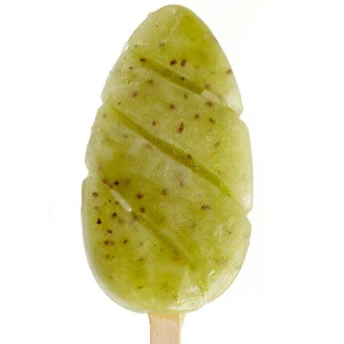 Pavogel Malibu Pop Mold - 8 Silicone Forms & 50 Sticks for Homemade Ice Pops, Popsicles, and Frozen Treats - Perfect for Summer Parties, Kids Snacks, and Family Fun