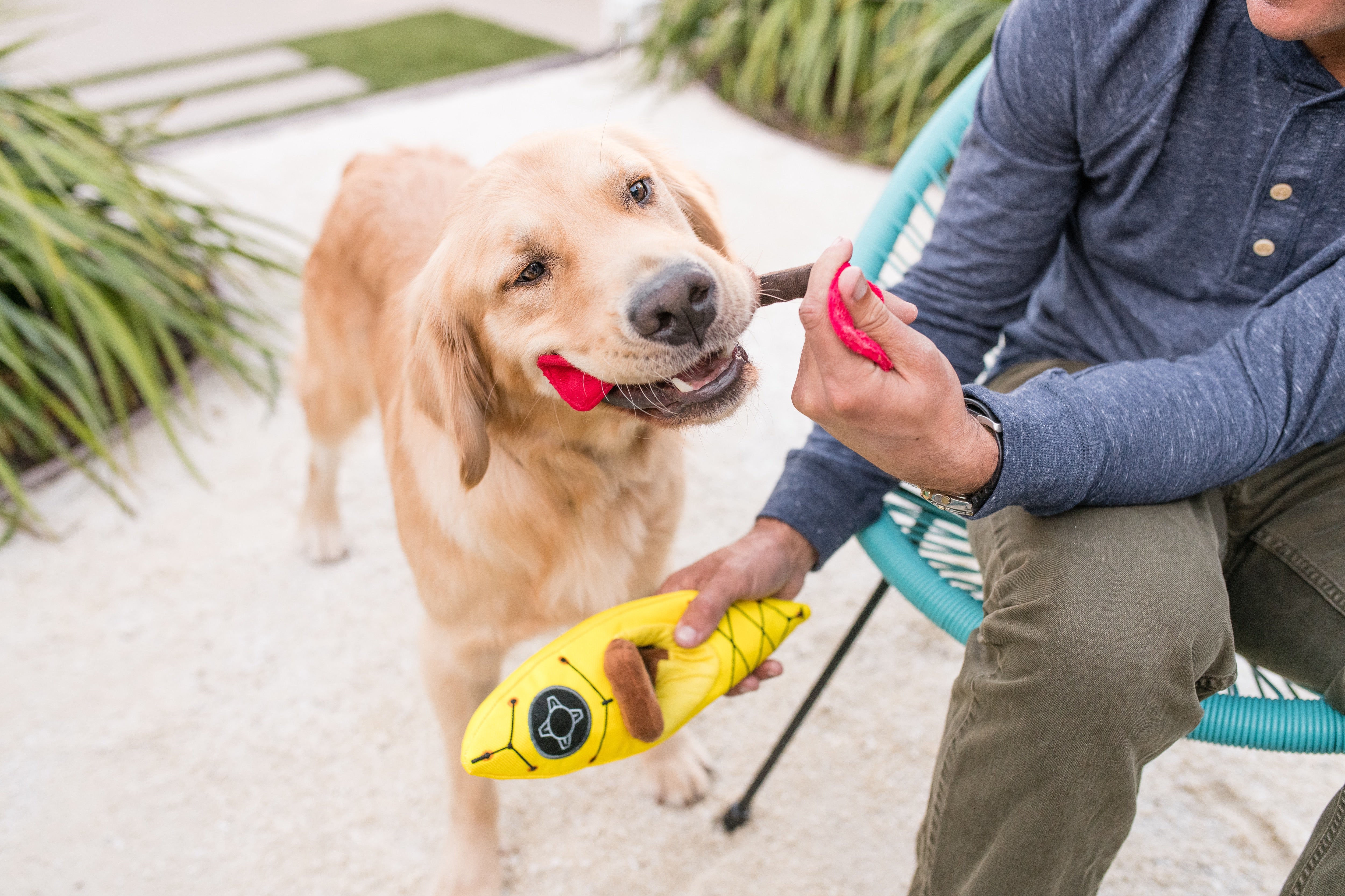 El Kayak Dog Toy - Camp Corbin™ Plush Chew Toy for Dogs | Durable & Soft Pet P.L.A.Y. Dog Chew Toy for Indoor & Outdoor Play, Fetch, and Cuddling