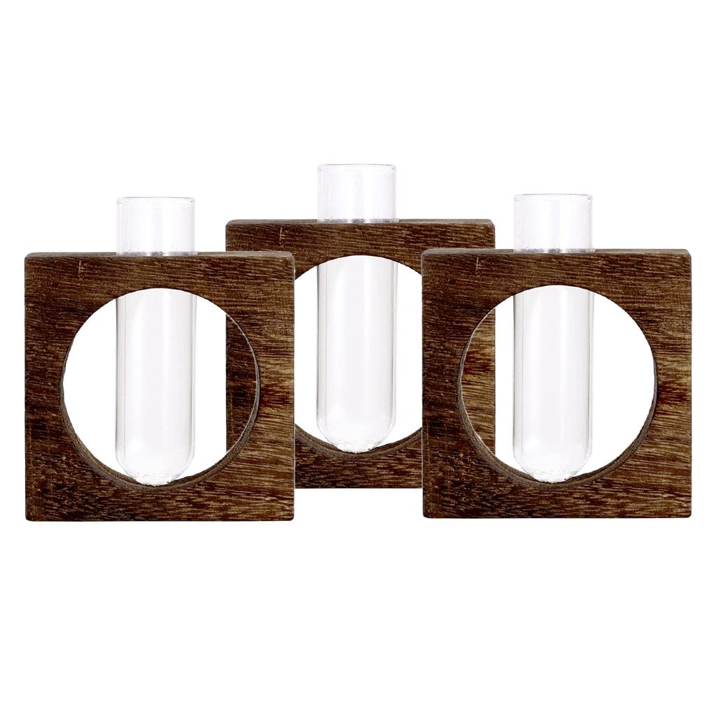 Baoblaze 3X Glass Test Tube Vases for Hydroponic Plants - Modern Flower Pots & Garden Decor - Perfect for Home, Office, and Wedding Centerpieces
