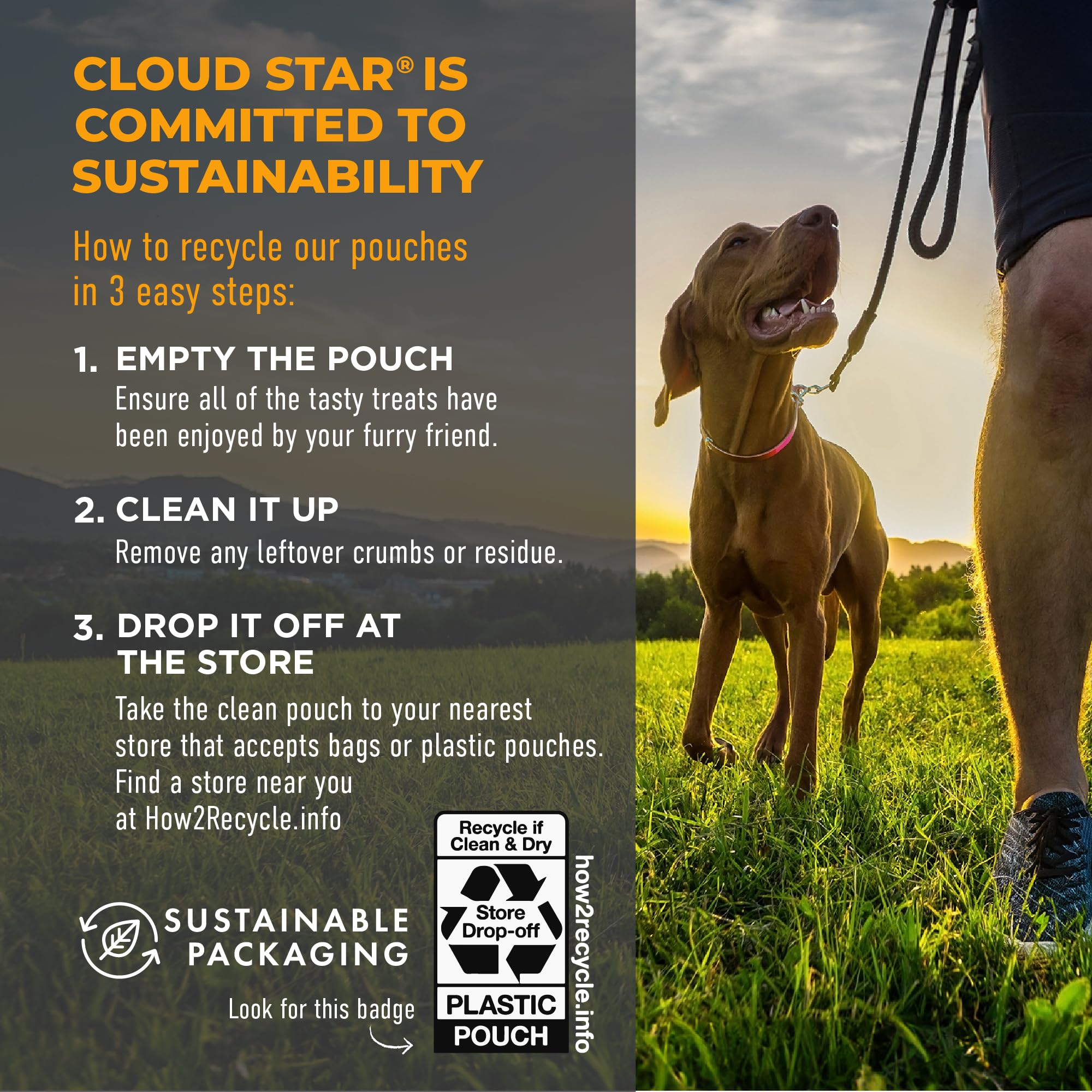 Cloud Star Tricky Trainers Soft & Chewy Dog Training Treats - 5 oz Pouch, Cheddar Flavor, Low Calorie Behavior Reward with 130 Treats | Perfect for Obedience Training, Puppy Socialization & Positive Reinforcement at Home or Outdoors