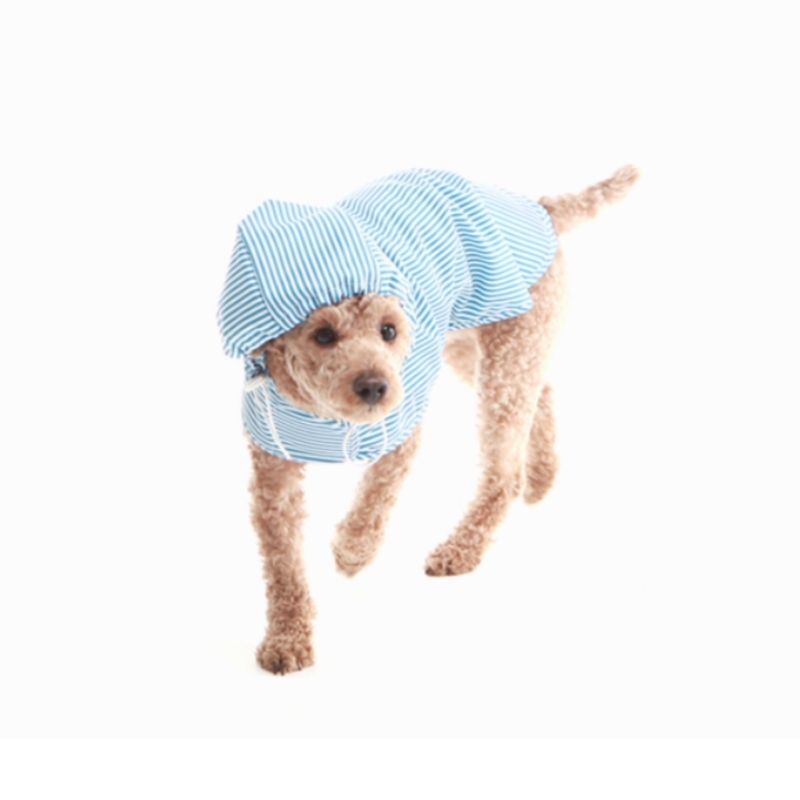 Merrypongo Waterproof Raincoat & Windbreaker Jacket - Sky Blue Striped Outdoor Coat for Men & Women | Perfect for Hiking, Camping & Travel