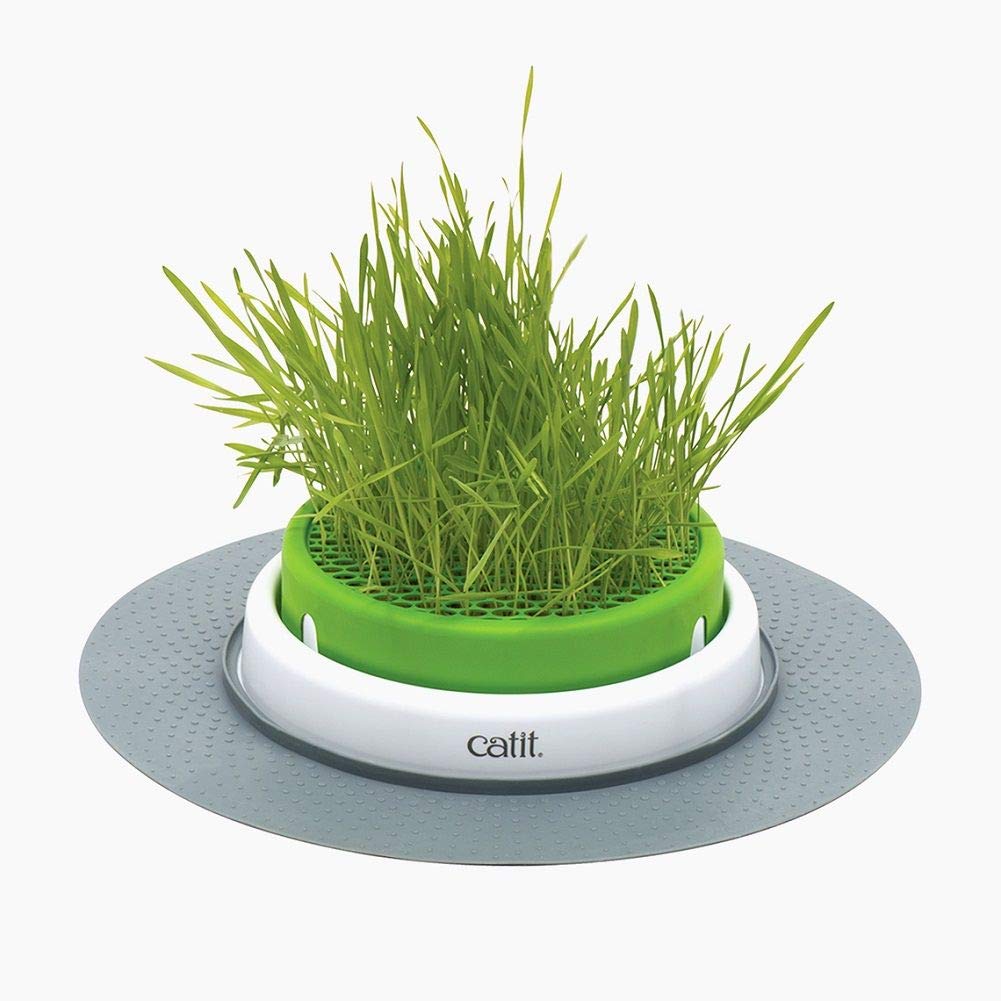 Catit Senses 2.0 Cat Grass Planter Kit with Interactive Cat Toys - Grow Fresh Cat Grass for Indoor Cats, Fun Play & Healthy Snacking for Your Feline Friend