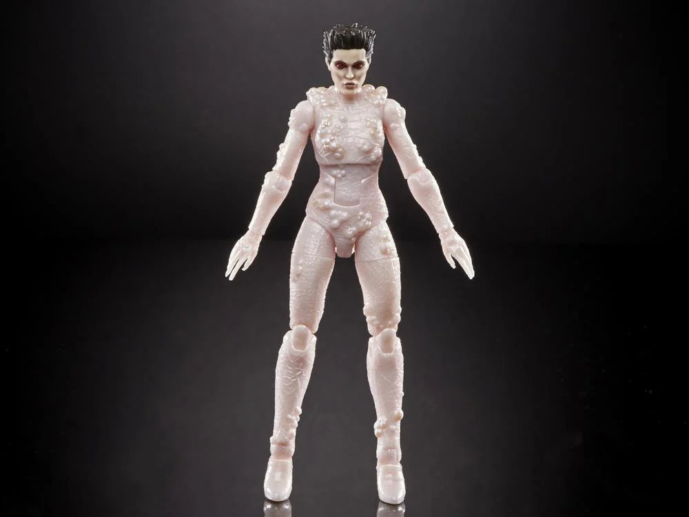 Ghostbusters Plasma Series Gozer Terror Dog BAF Action Figure by Hasbro – Perfect for Collectors and Movie Fans