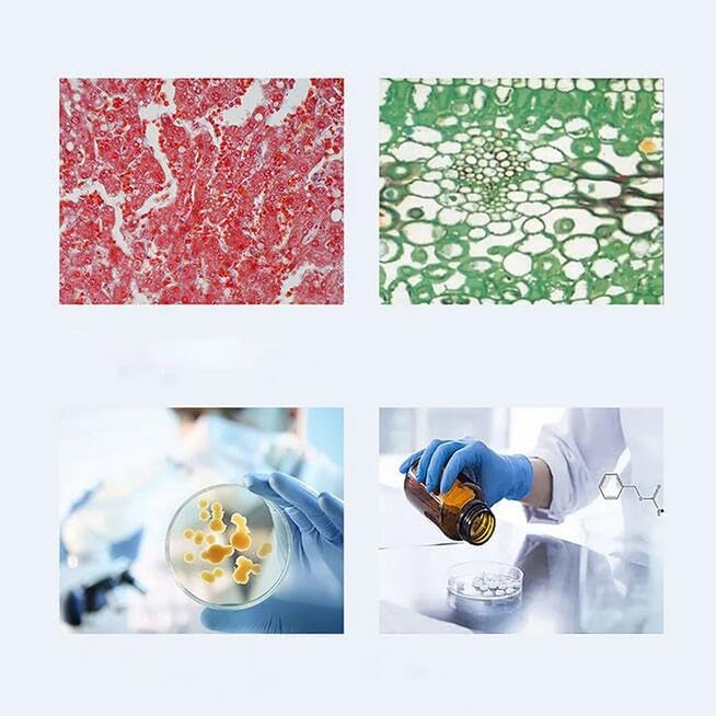 Rechargeable Handheld Laboratory Tissue Grinder - 2ML Capacity, 5000/10000/18000 RPM Adjustable Speed, Ultra-Fine Homogenizer for DNA/RNA Extraction - Perfect for Lab Research, Cell Disruption & Sample Preparation